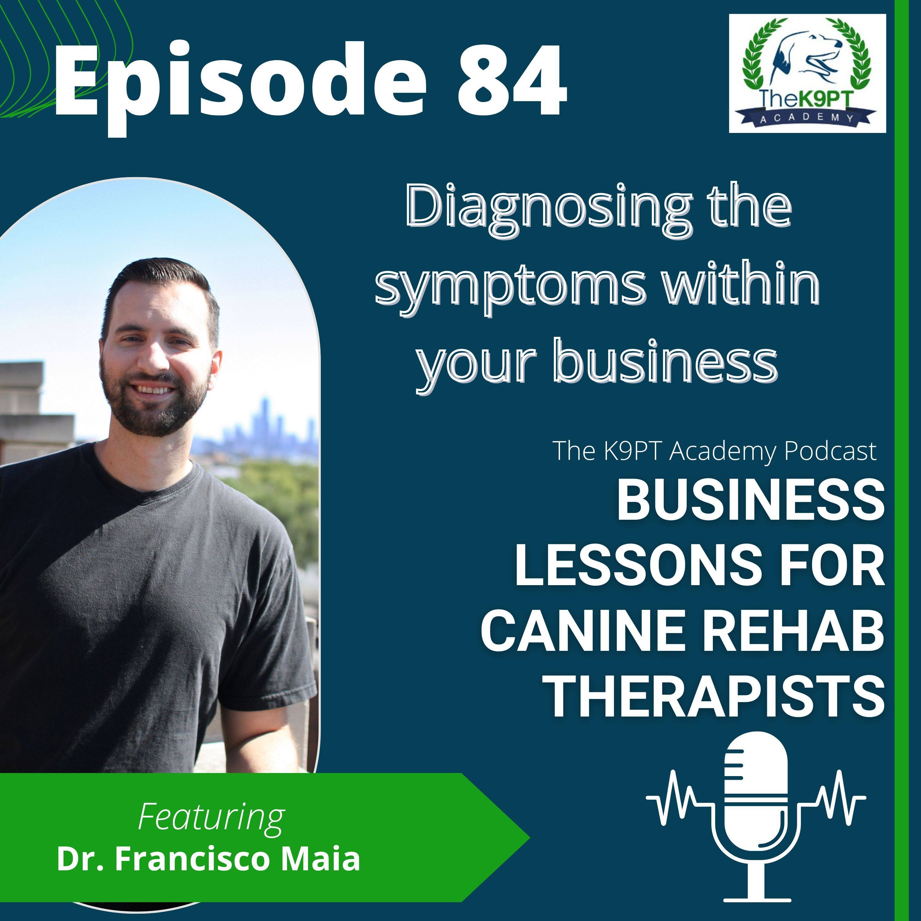 The K9PT Academy Podcast: Business lessons for canine rehab therapists