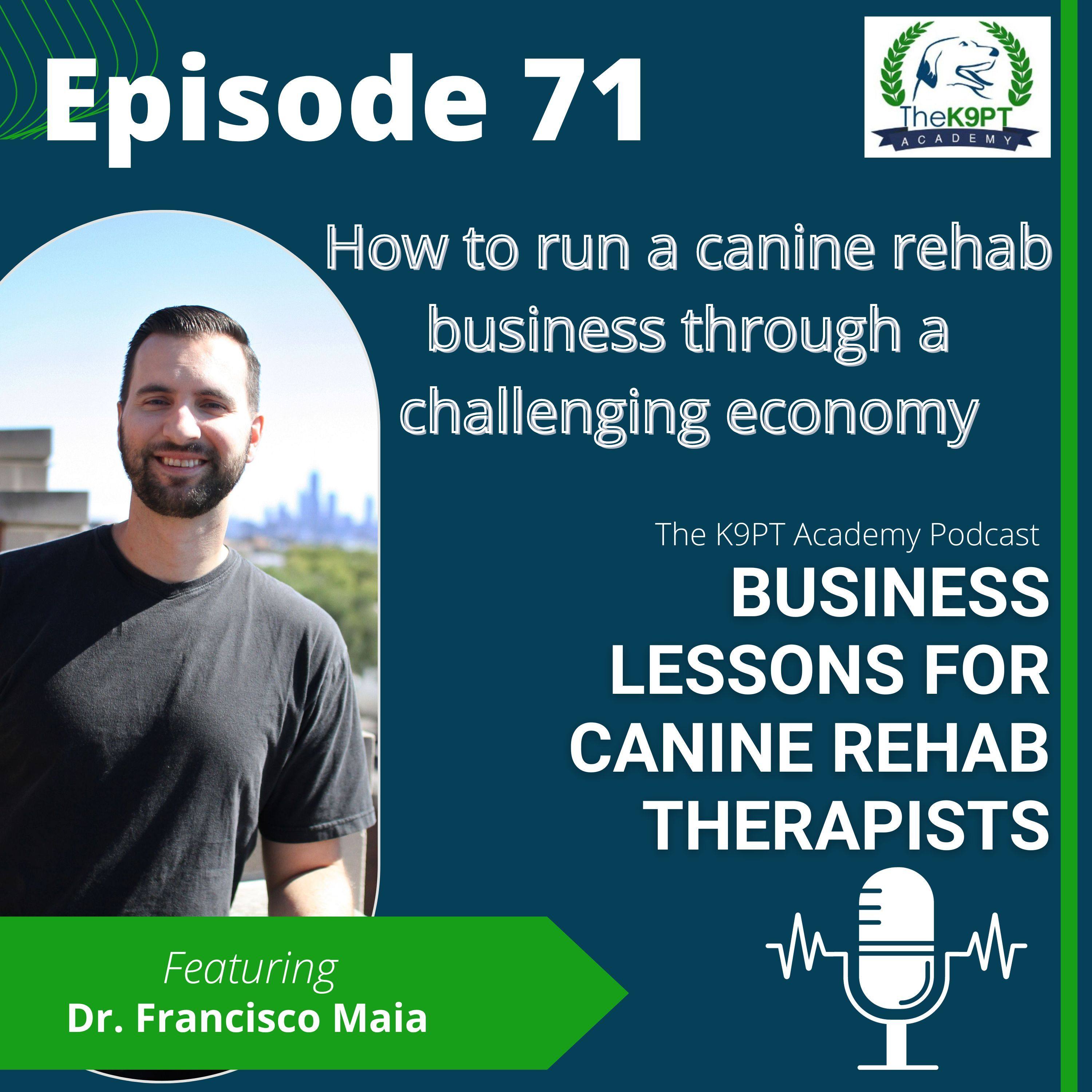 The K9PT Academy Podcast: Business lessons for canine rehab therapists