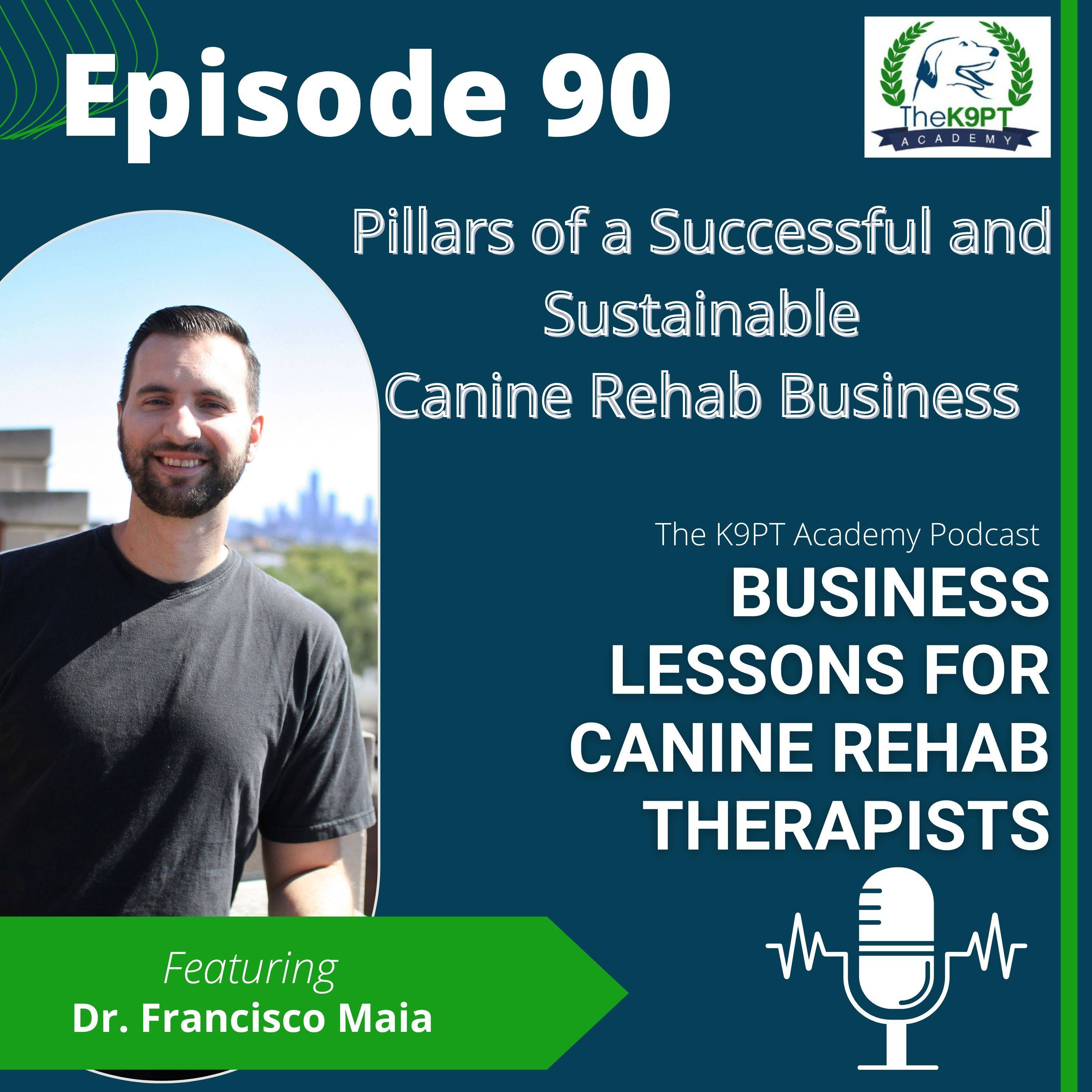 The K9PT Academy Podcast: Business lessons for canine rehab therapists