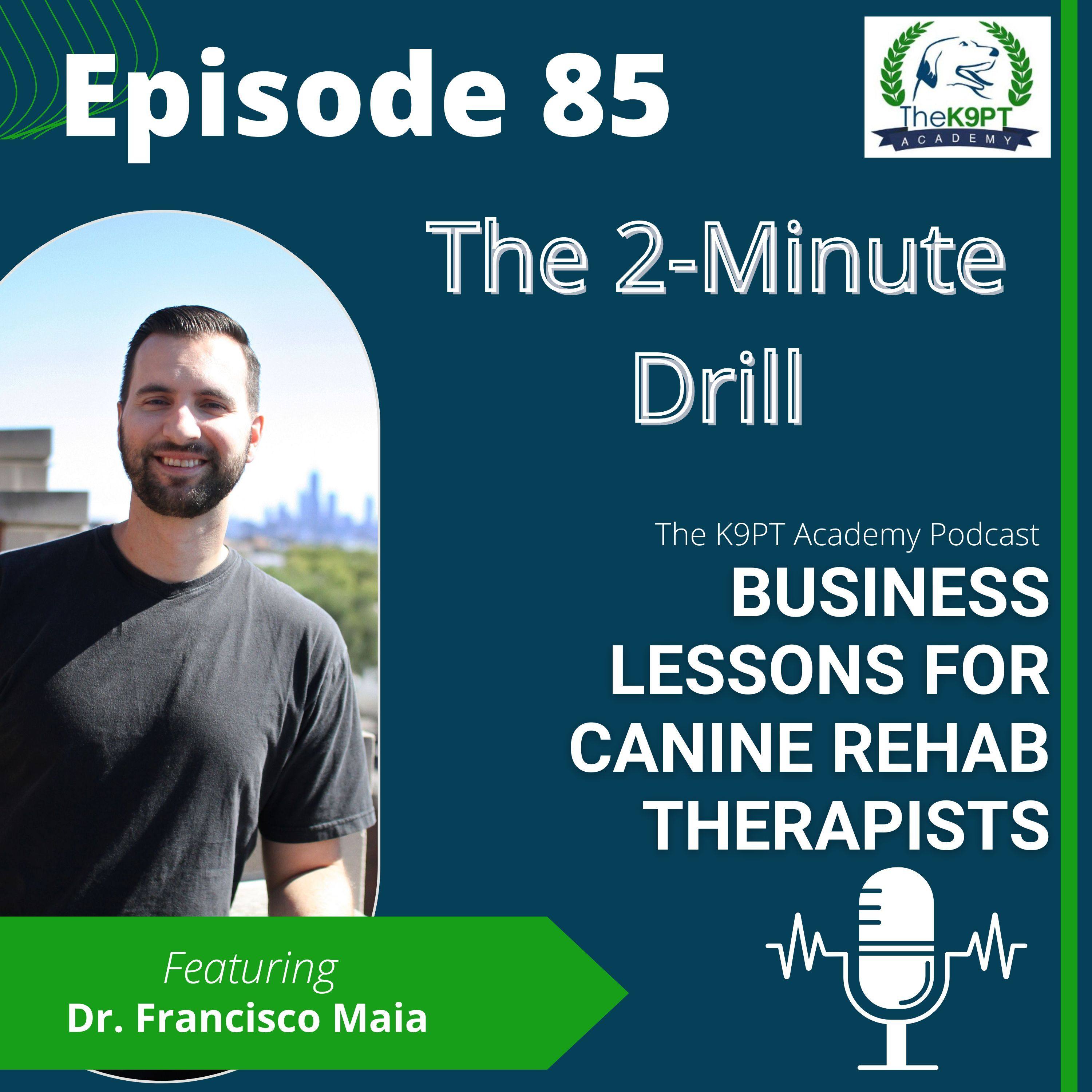 The K9PT Academy Podcast: Business lessons for canine rehab therapists