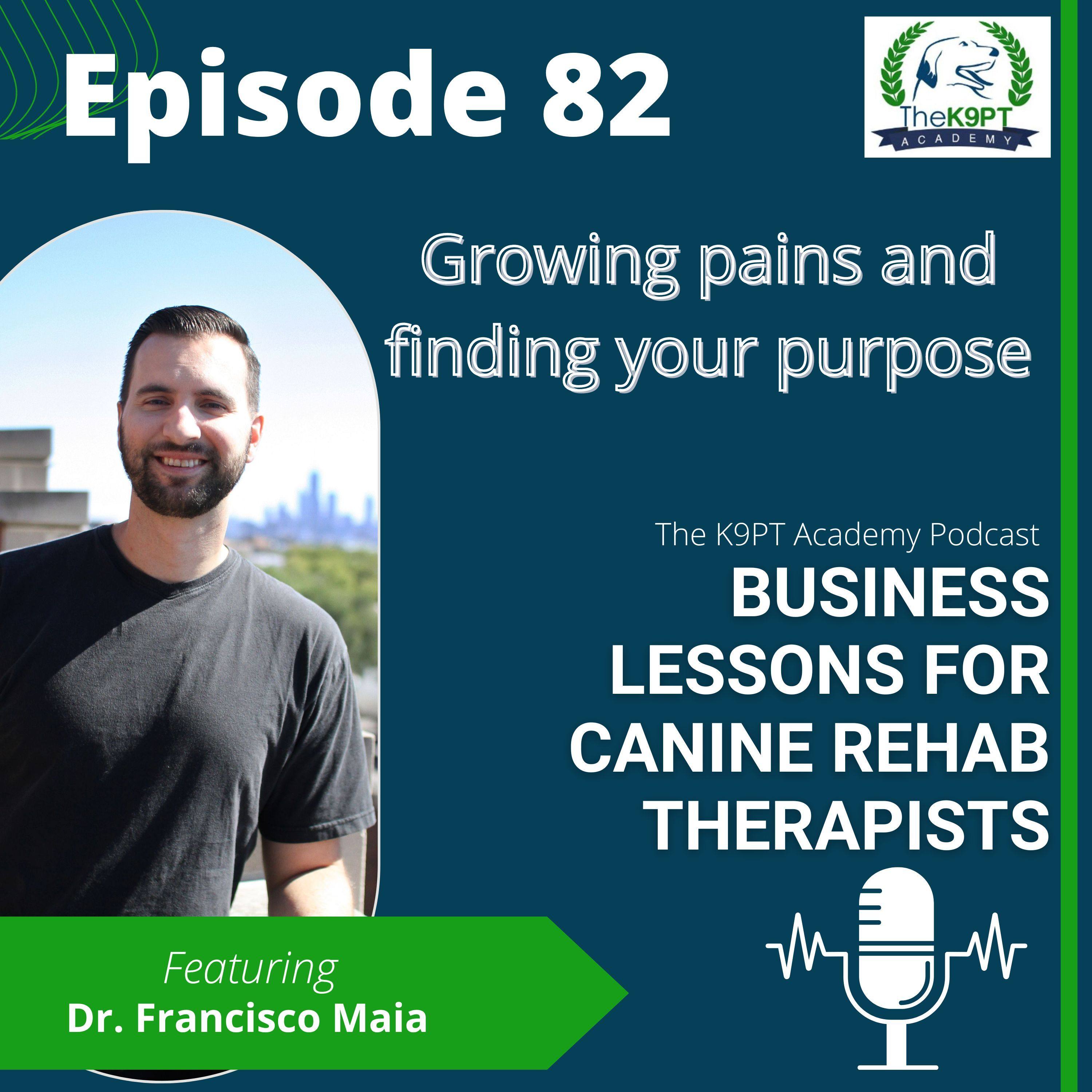 The K9PT Academy Podcast: Business lessons for canine rehab therapists