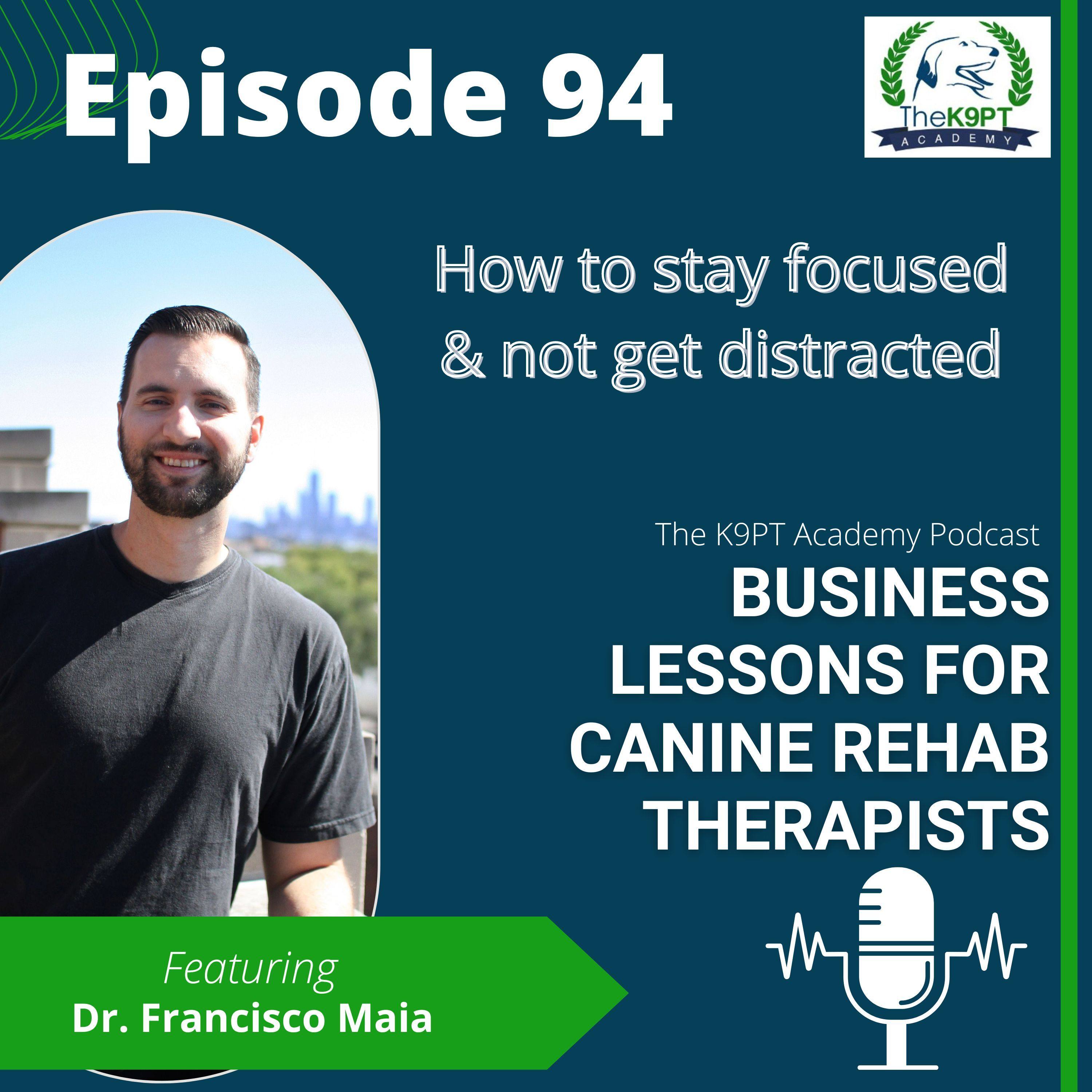 The K9PT Academy Podcast: Business lessons for canine rehab therapists