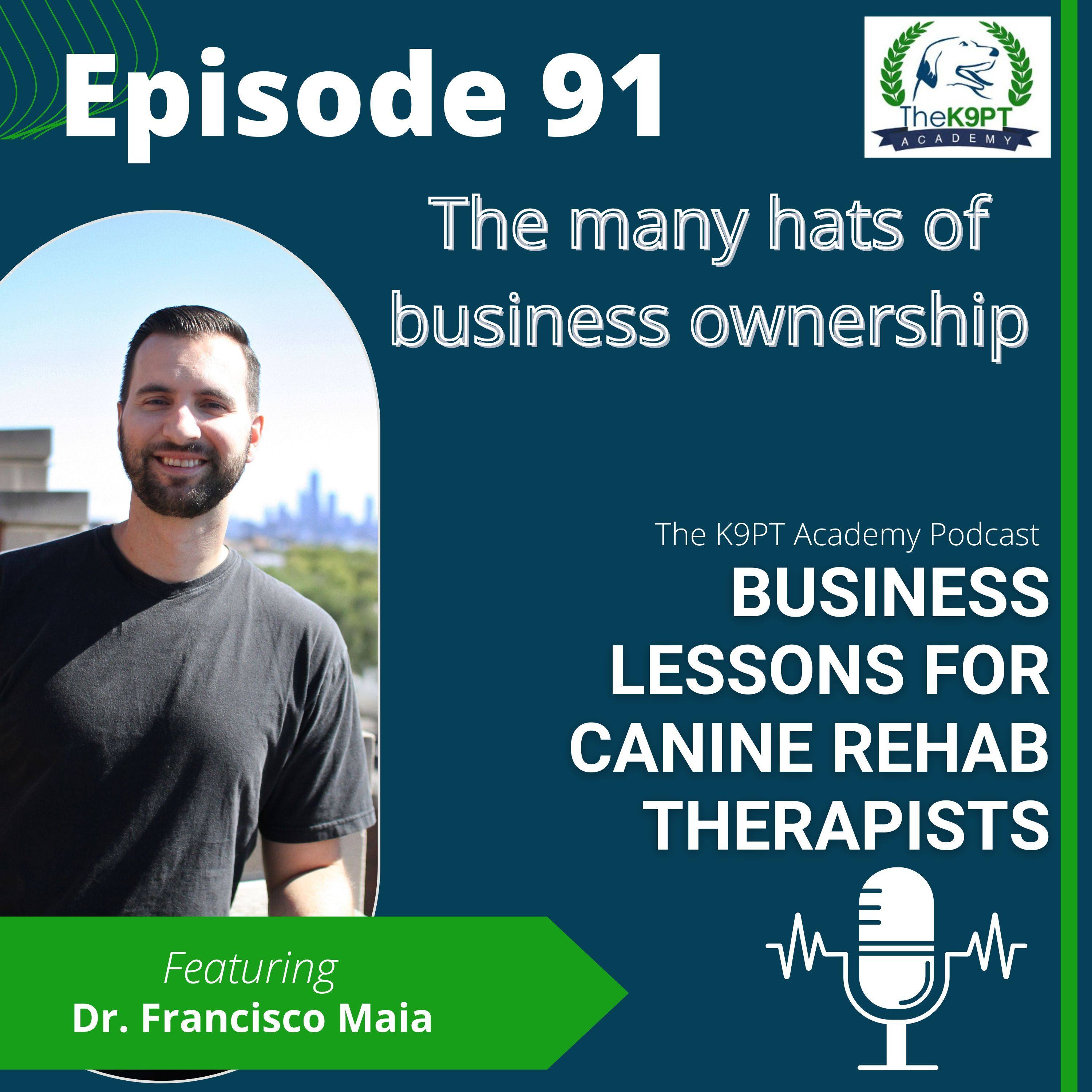The K9PT Academy Podcast: Business lessons for canine rehab therapists