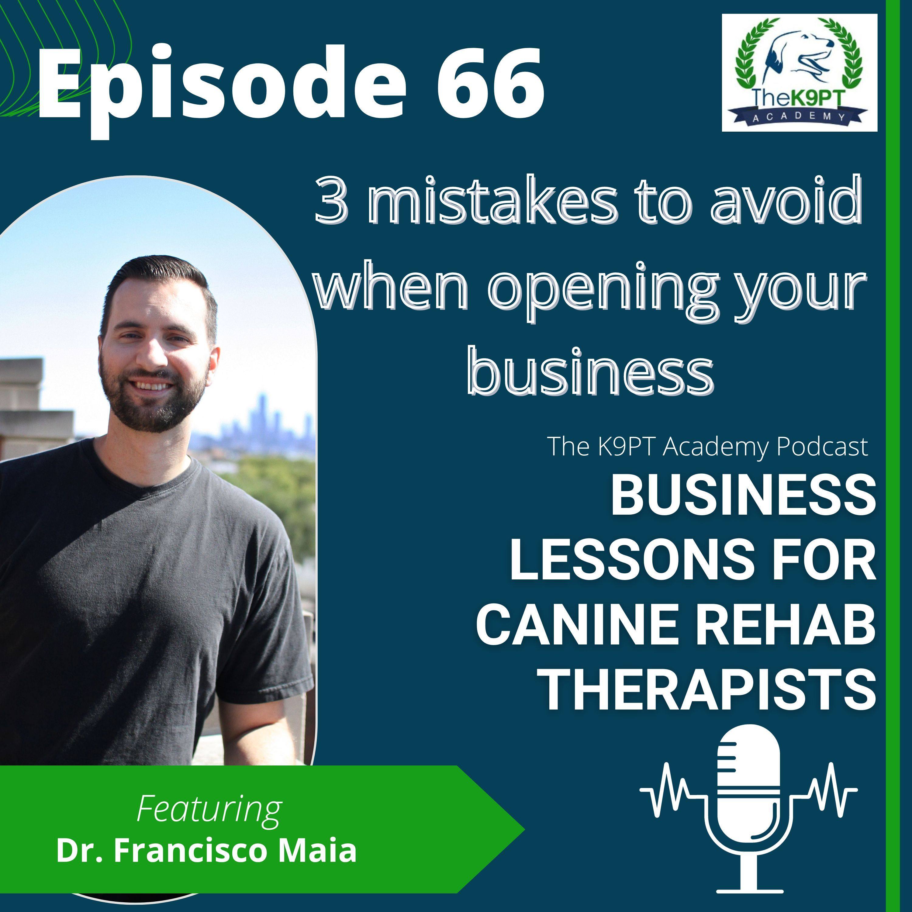 The K9PT Academy Podcast: Business lessons for canine rehab therapists