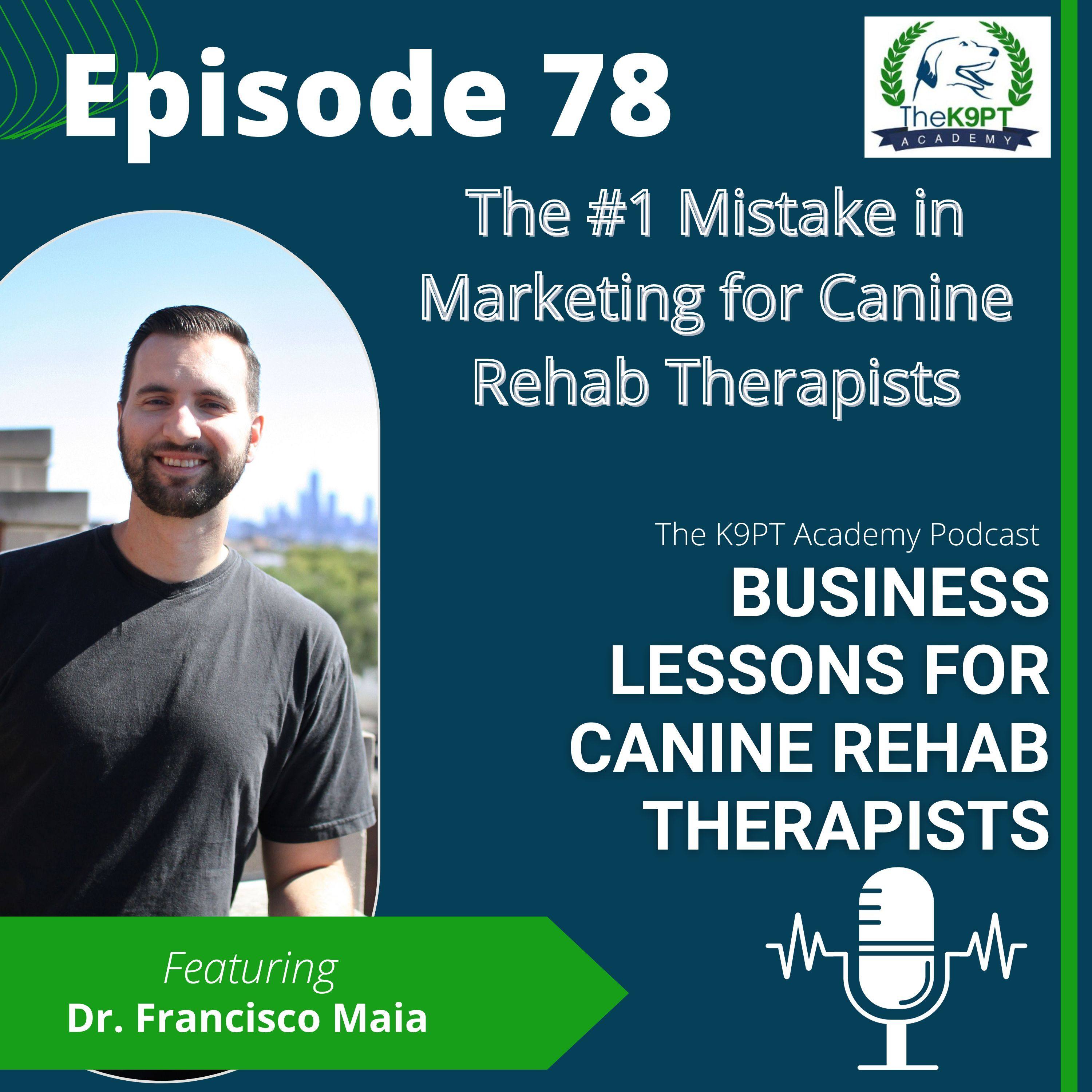 The K9PT Academy Podcast: Business lessons for canine rehab therapists
