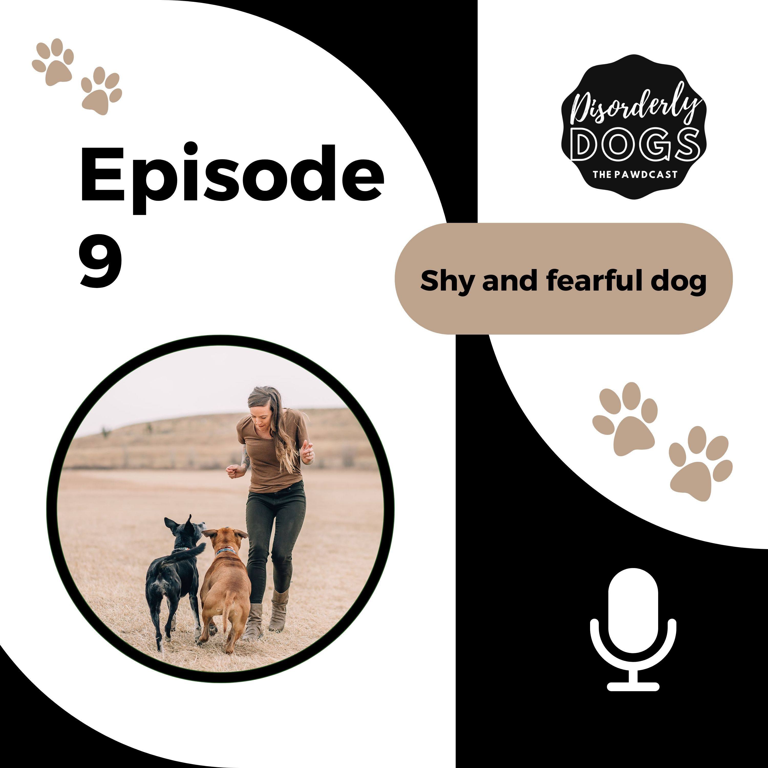 9. Shy and fearful dogs episode artwork