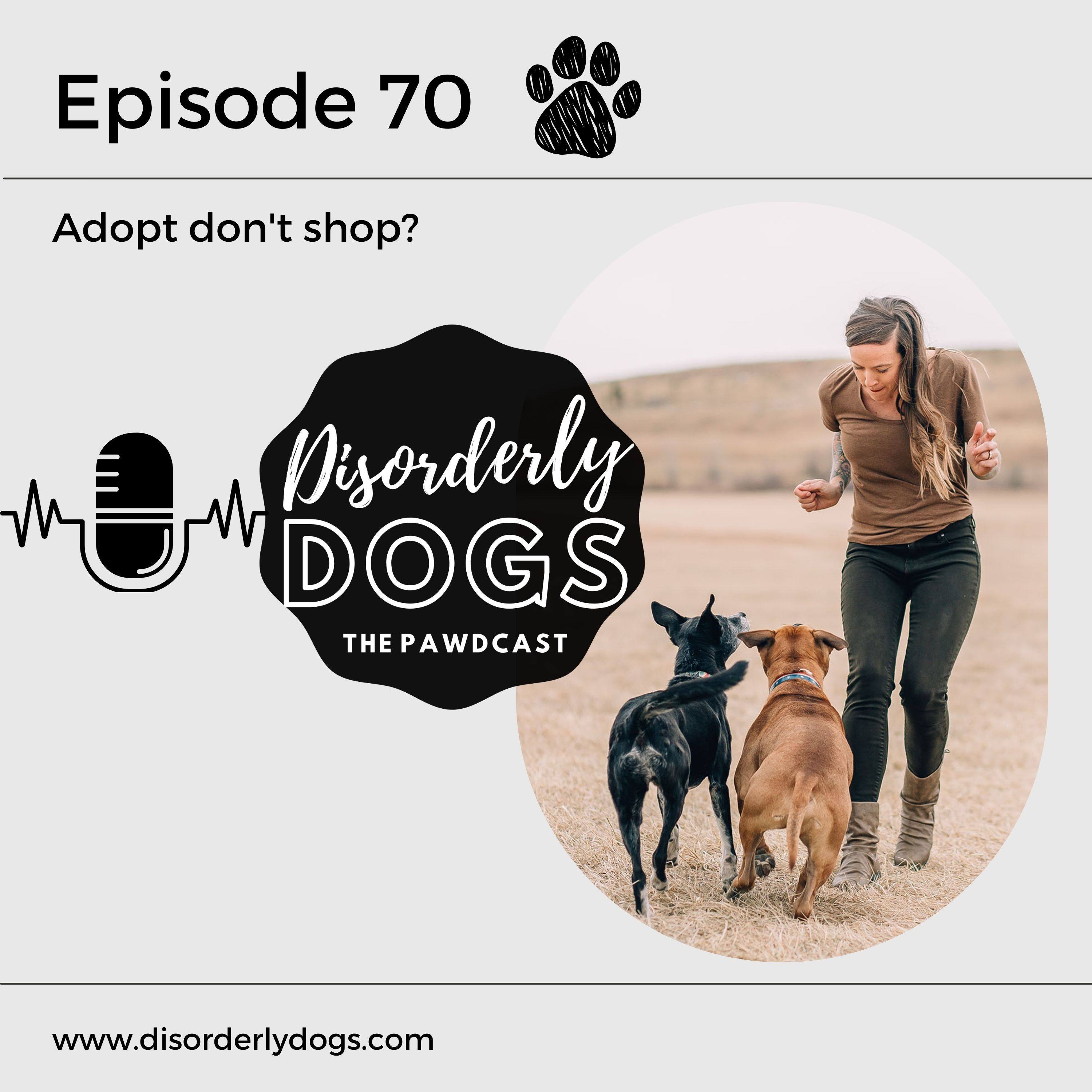70. Adopt don't shop? episode artwork