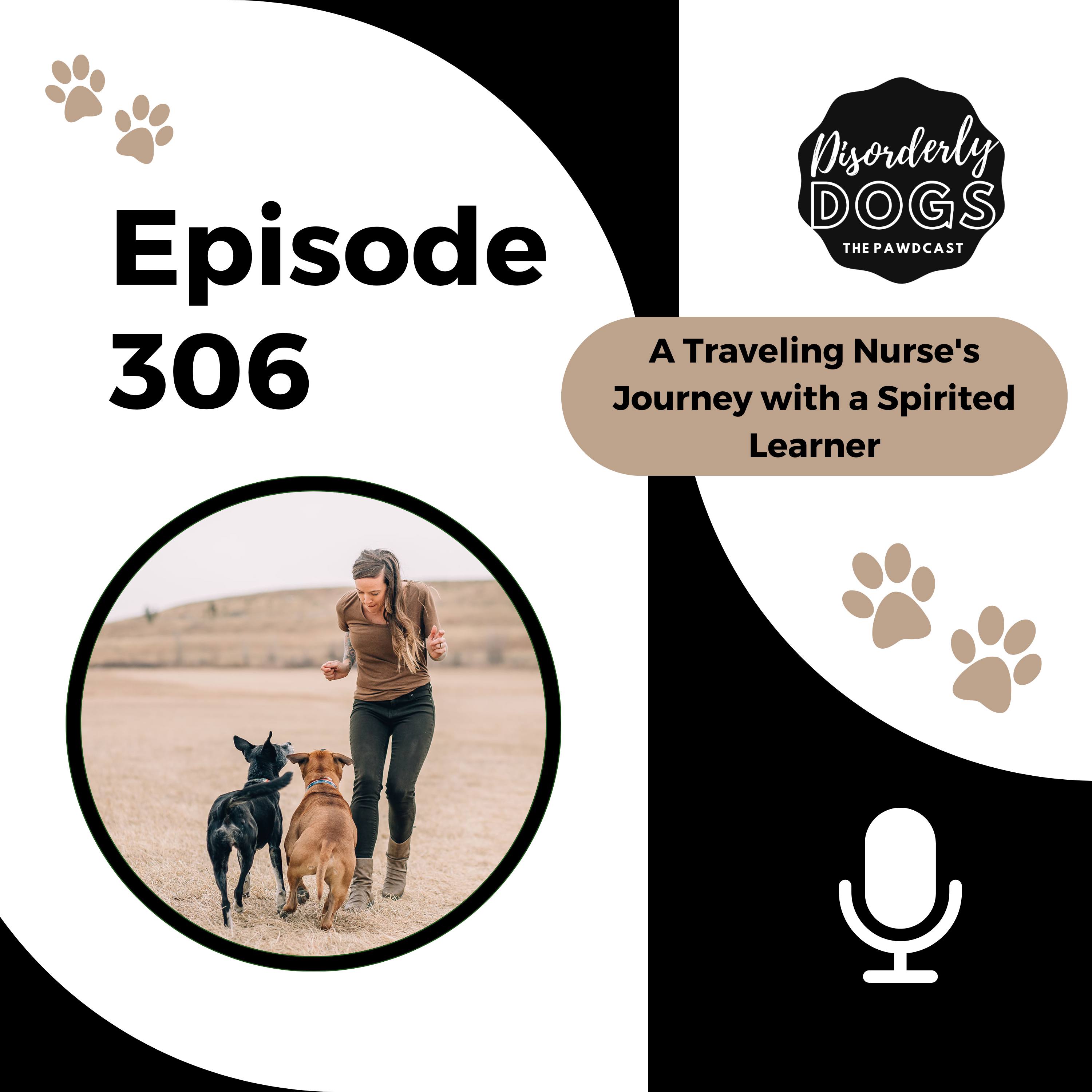 306. The Road Warrior and the Rowdy Pup: A Traveling Nurses Journey with a Spirited Learner (Replay) episode artwork