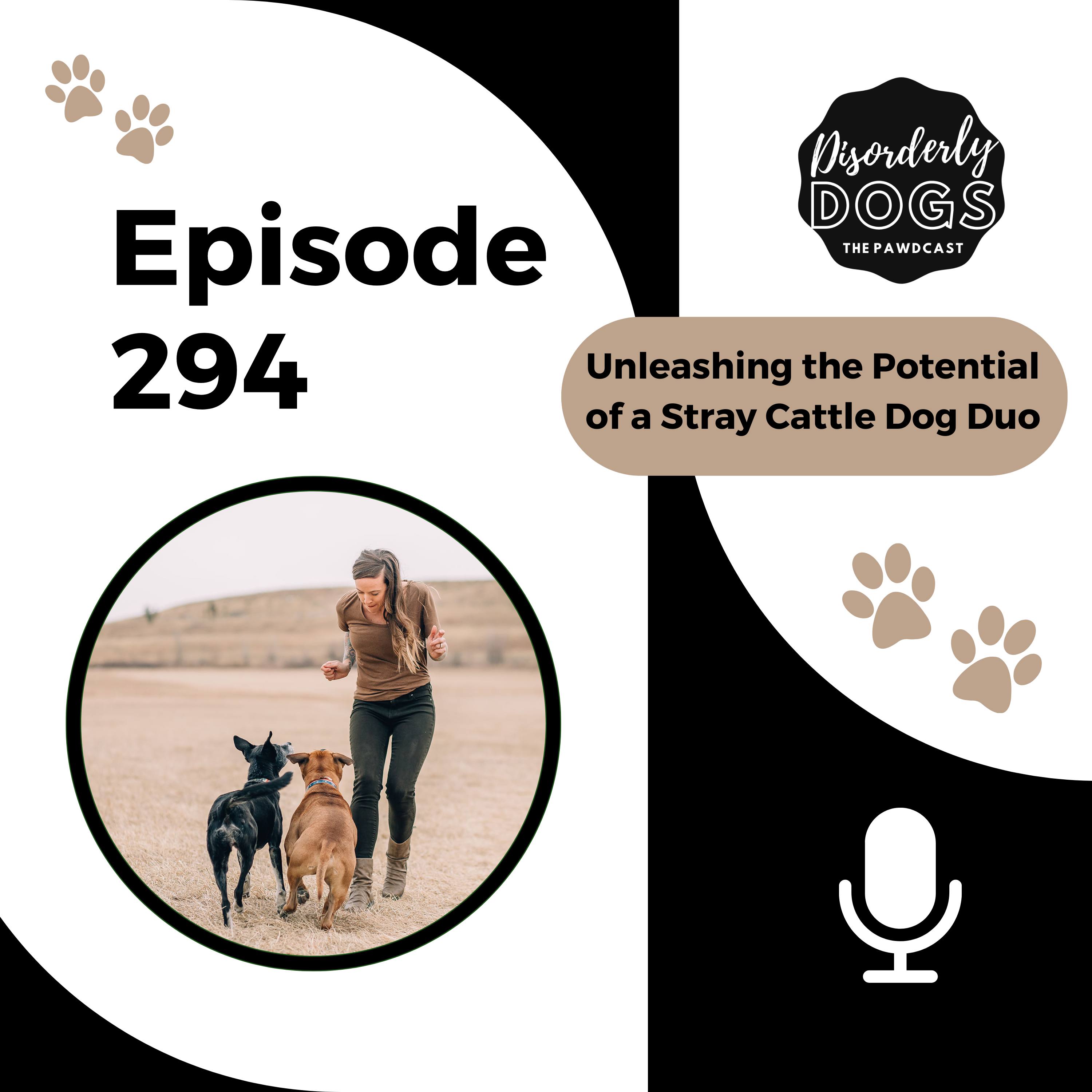 294. Unleashing the Potential of a Stray Cattle Dog Duo – A Reactive Case Study in Canine Transformation w/ Team River episode artwork