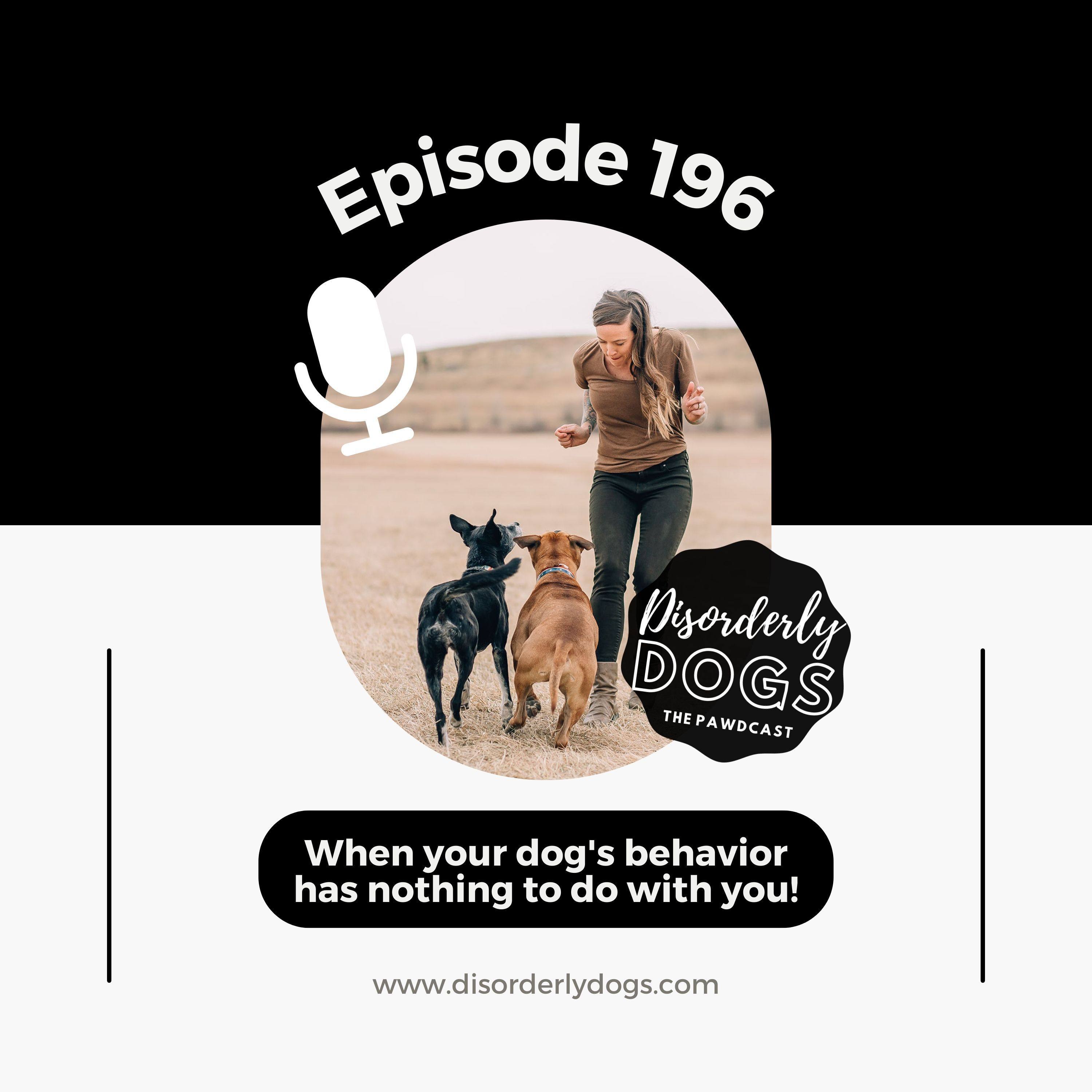 196. When your dog's behavior has nothing to do with you! episode artwork