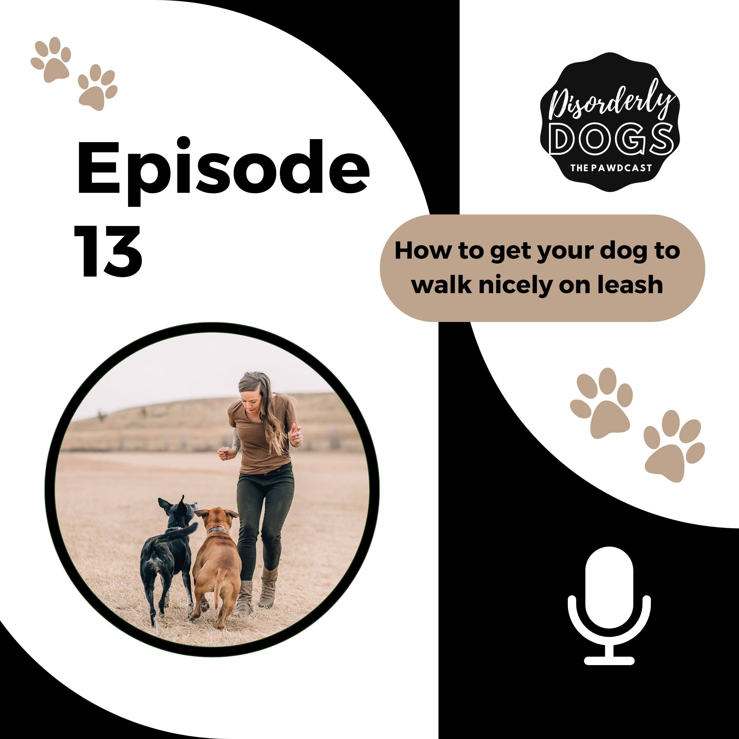 13. How to get your dog to walk nicely on leash episode artwork