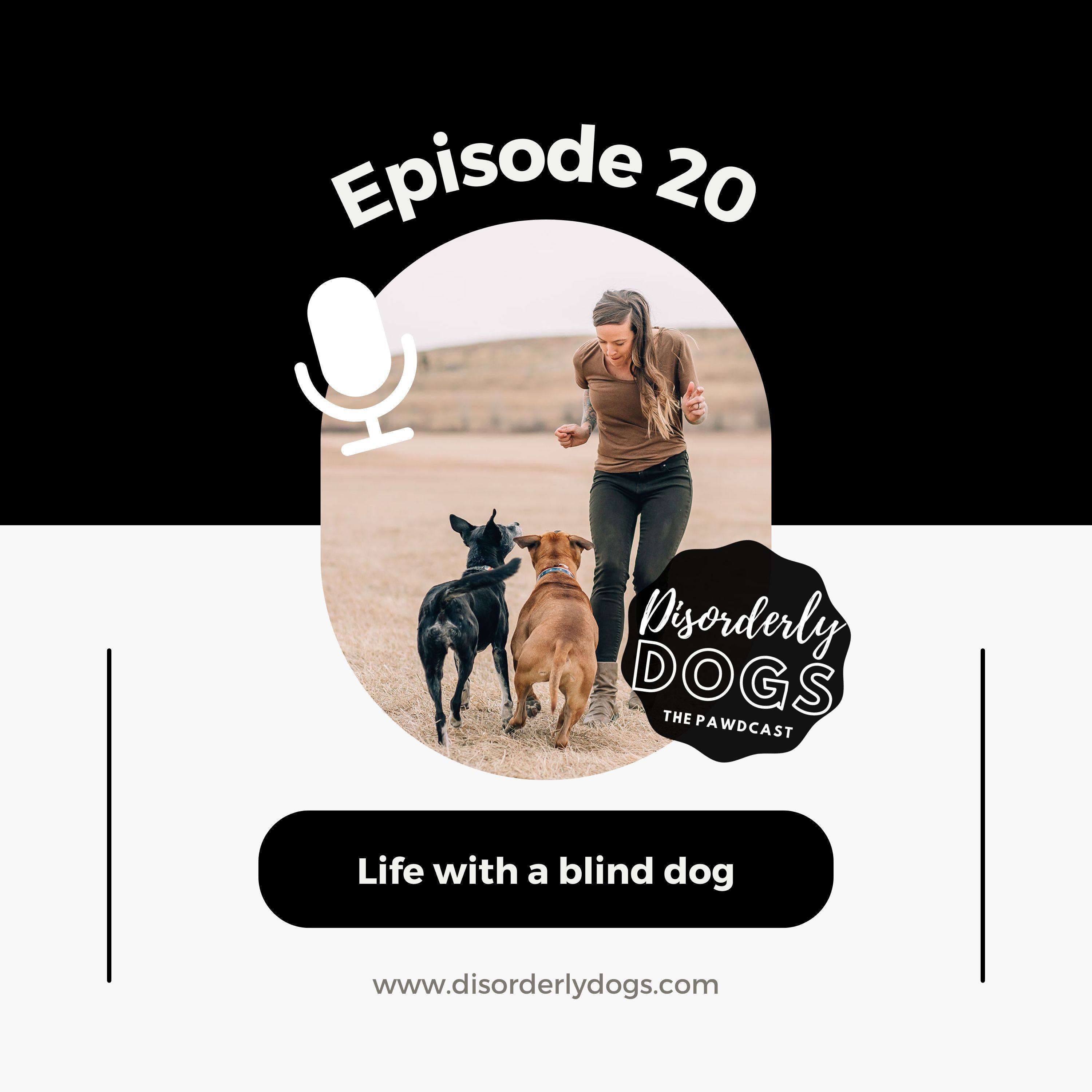 20. Life with a blind dog w/@bear.the.blind.pit episode artwork