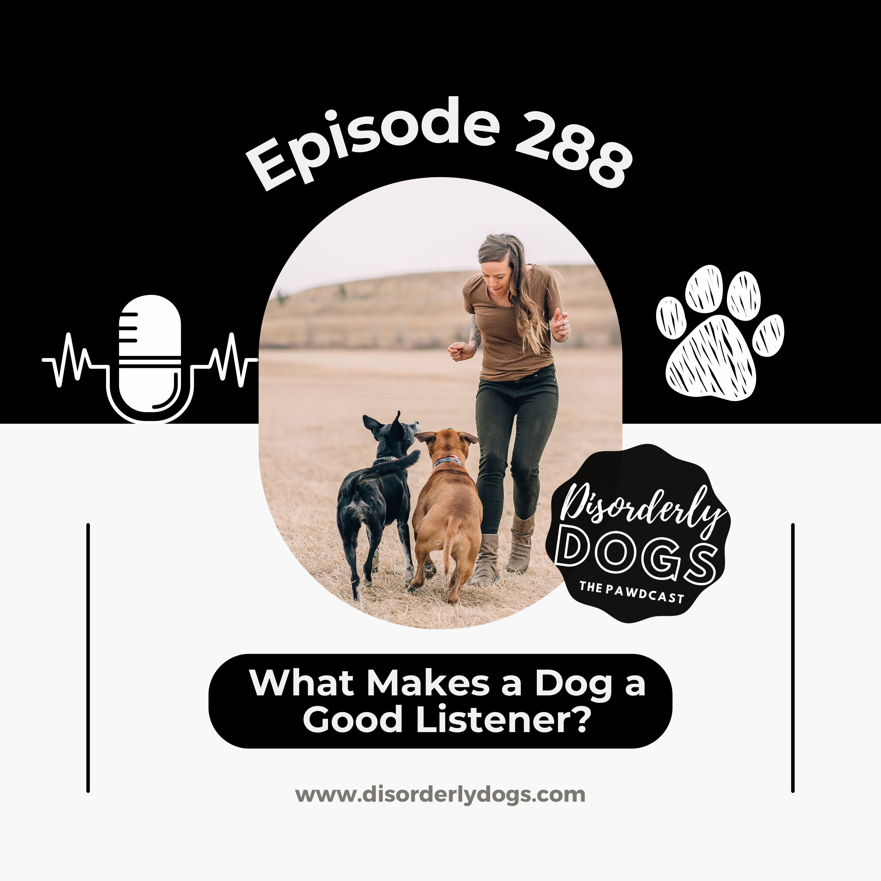 288. What Makes a Dog a Good Listener? episode artwork