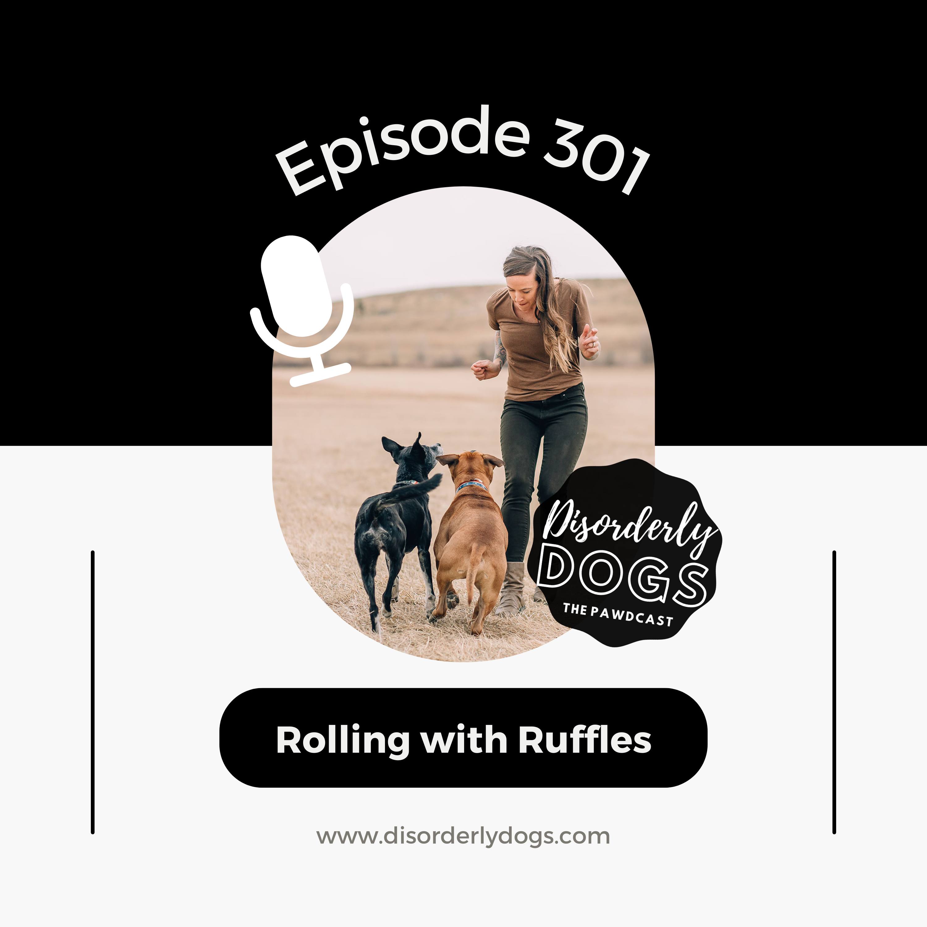 301. Rolling with Ruffles: How One Power Chair User Navigates Life with Her Pomeranian Mix episode artwork