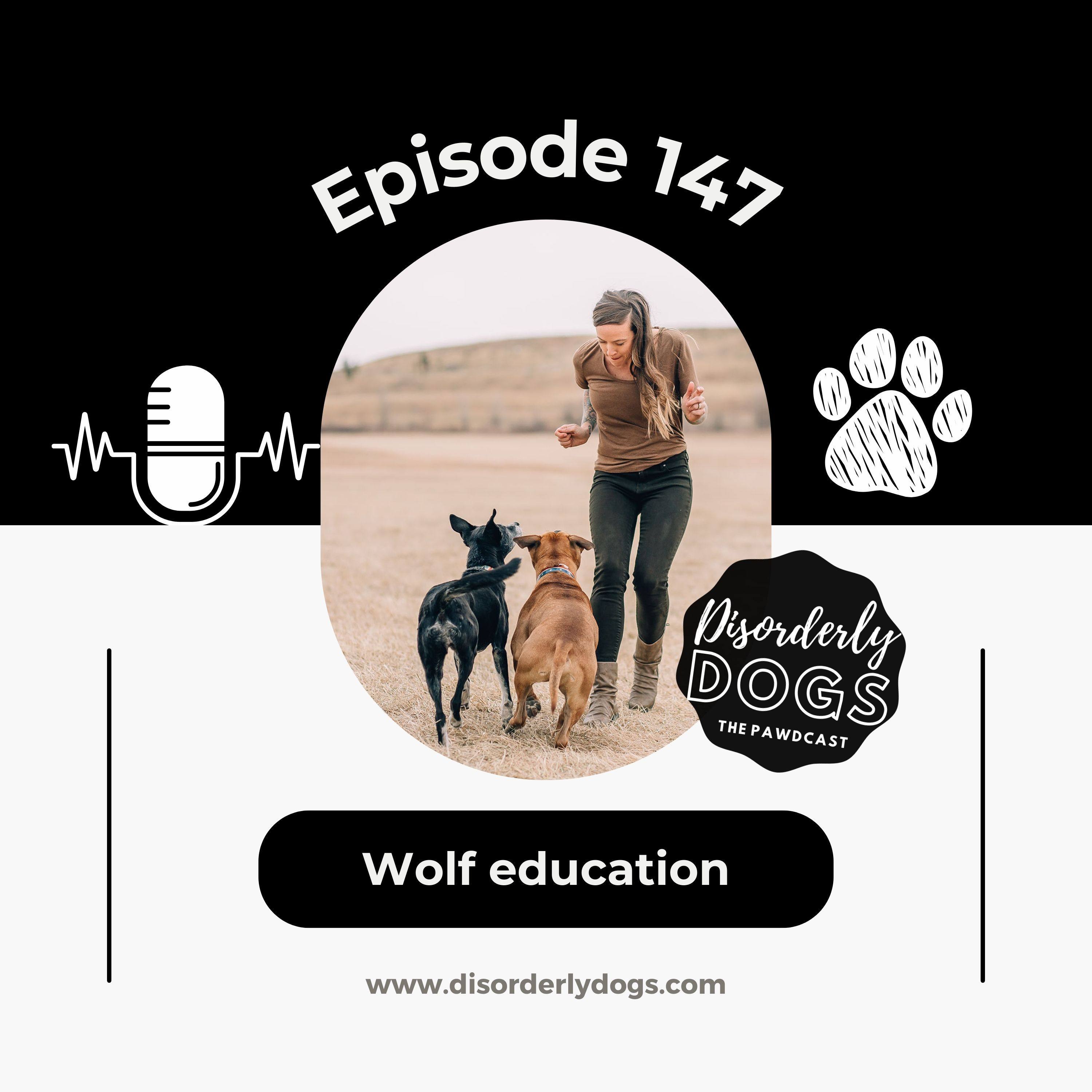 147. Wolf education w/Becca Sue of the CWWC (Colorado Wolf and Wildlife Center) episode artwork