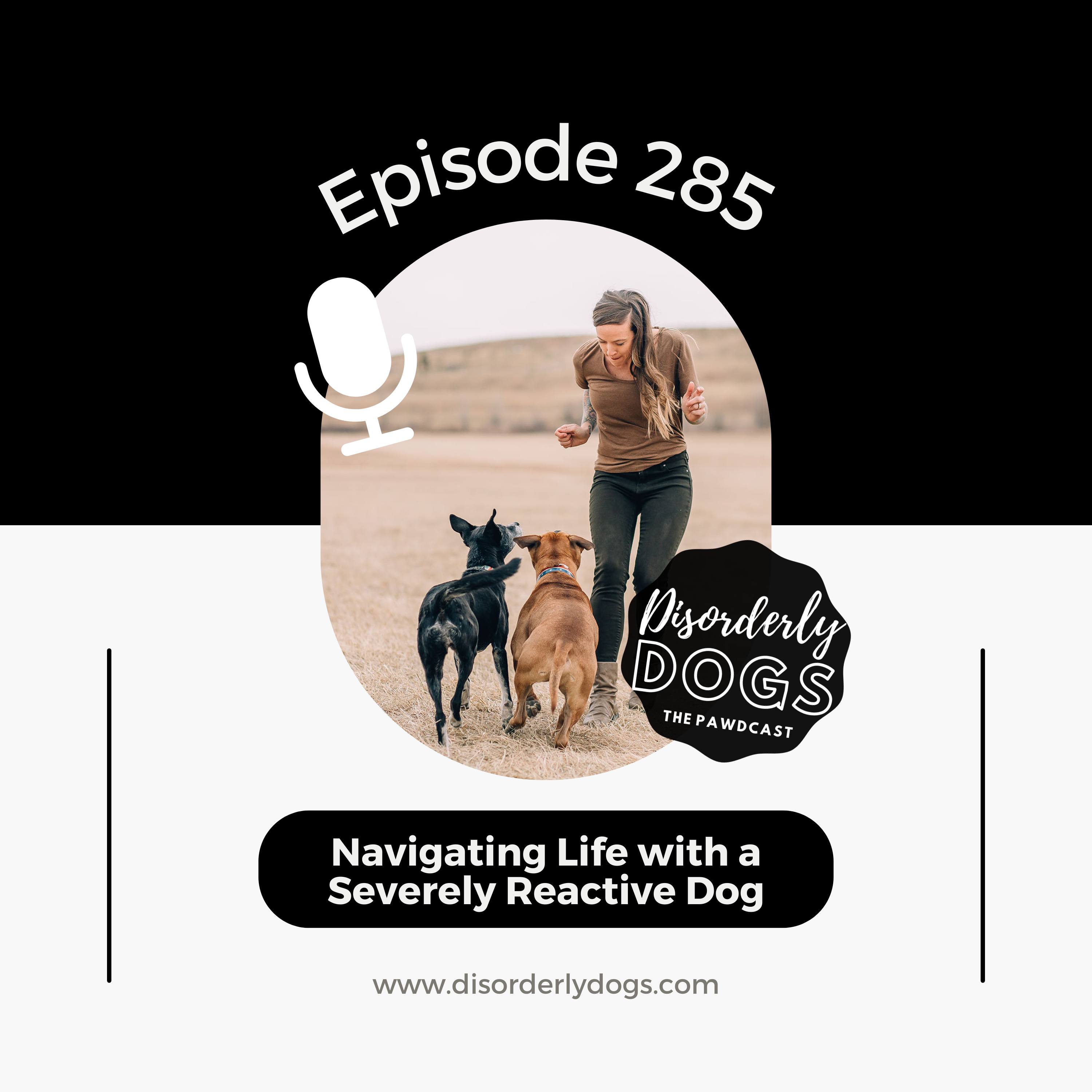 285. Guardians of the Growler: Navigating Life with a Severely Reactive Dog w/ Team Luna episode artwork