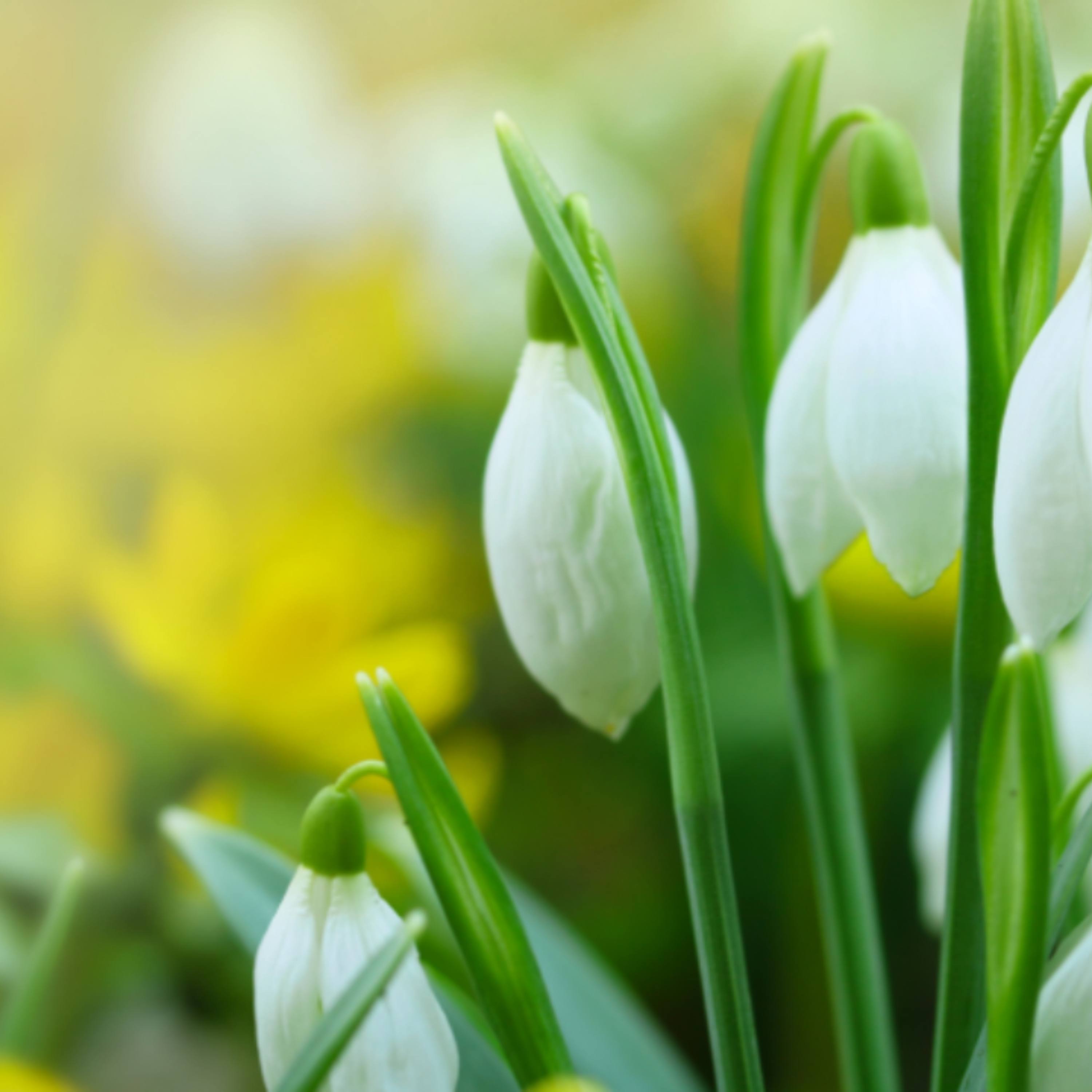 Episode 14: Kindness