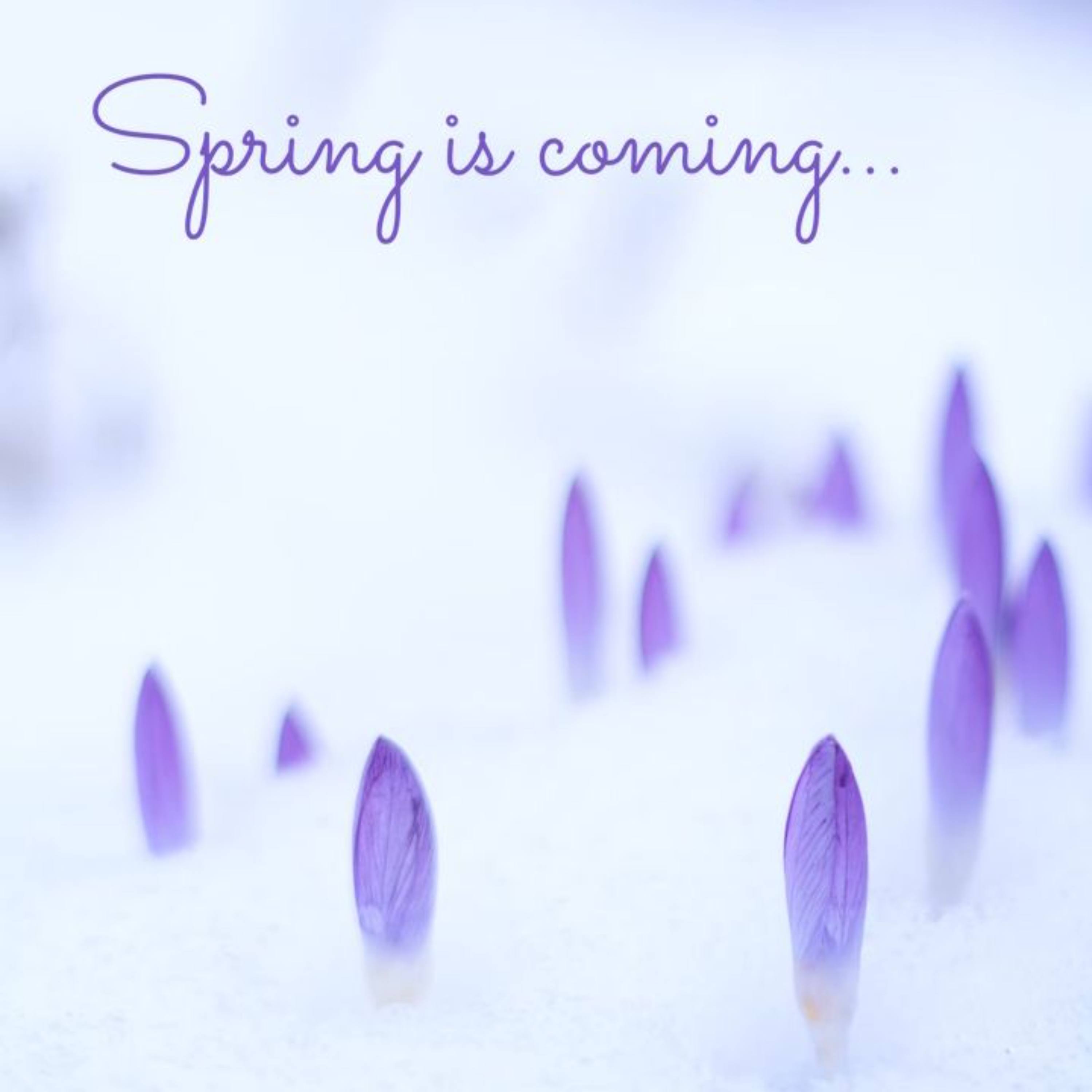Episode 12: Spring is Coming!