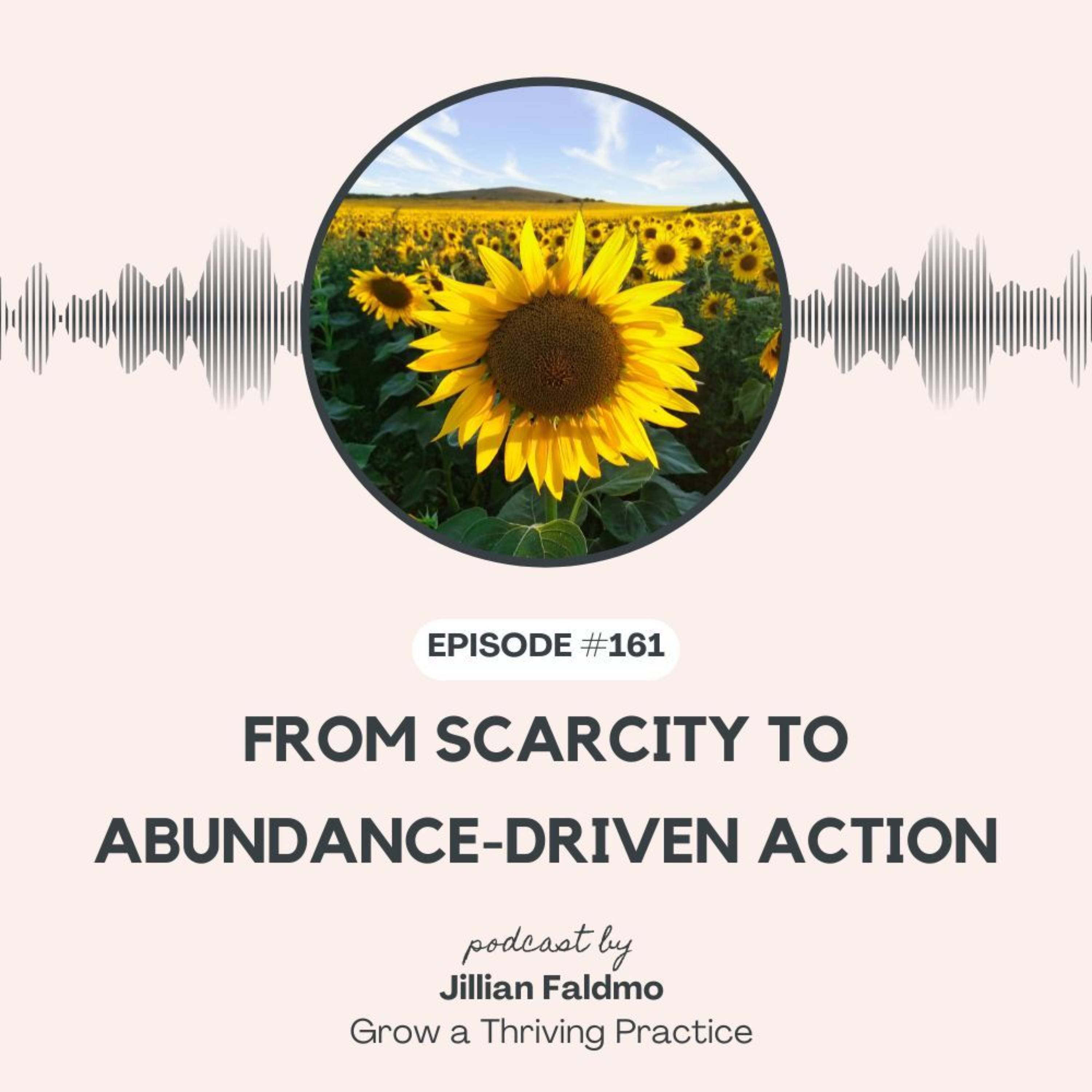 161. From Scarcity to Abundance-Driven Action episode artwork