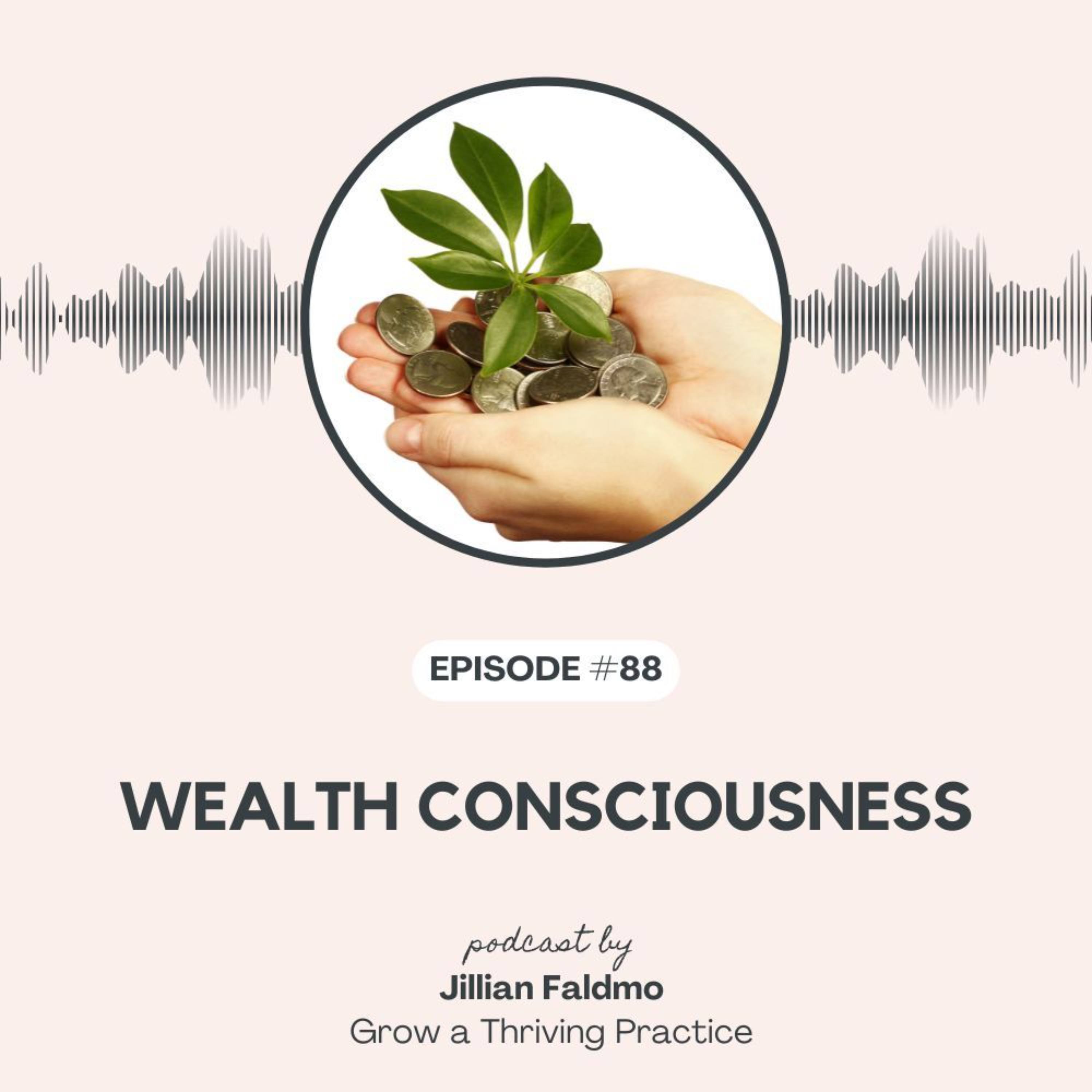 88. Wealth Consciousness episode artwork