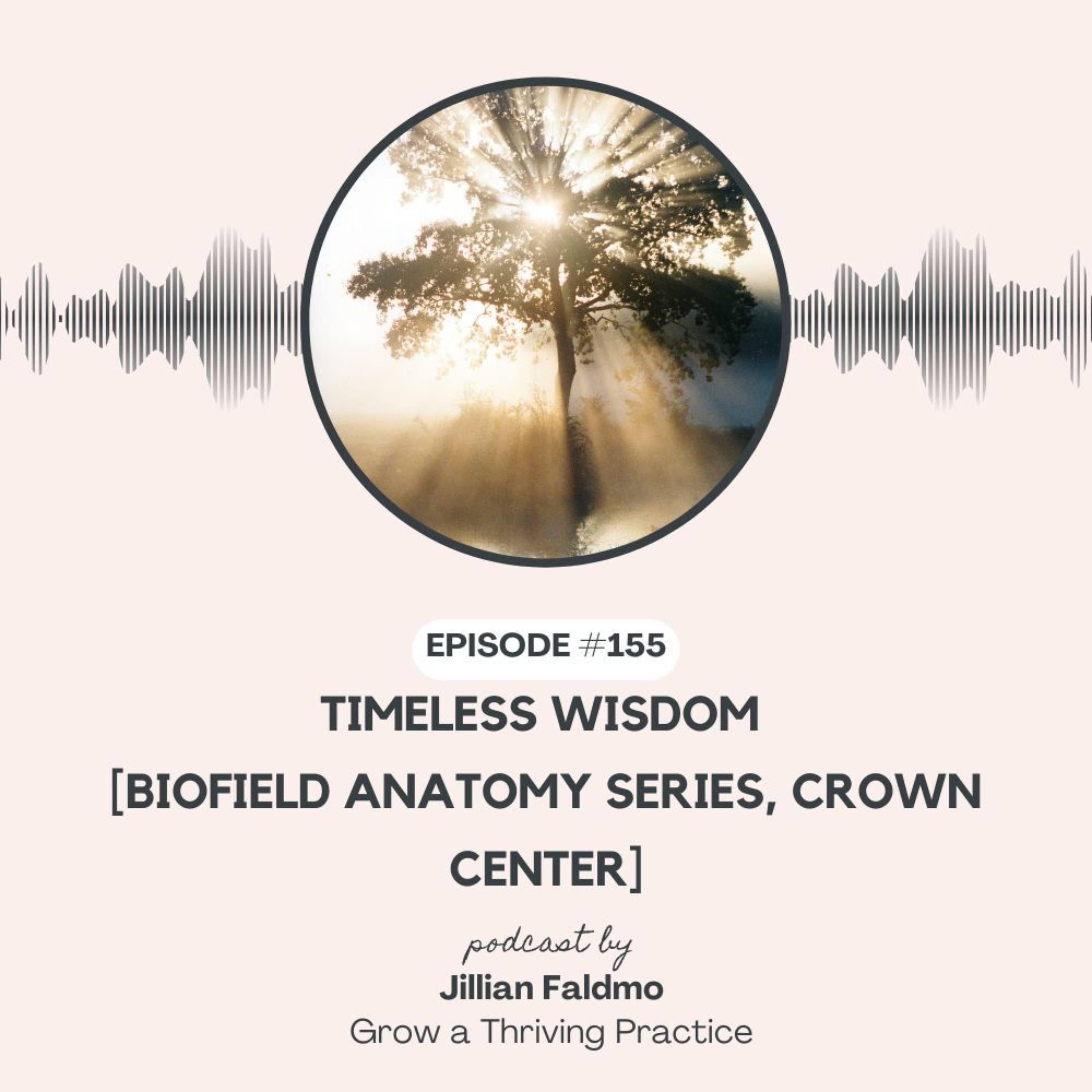 155. Timeless Wisdom [Biofield Anatomy Series, Crown Center] episode artwork