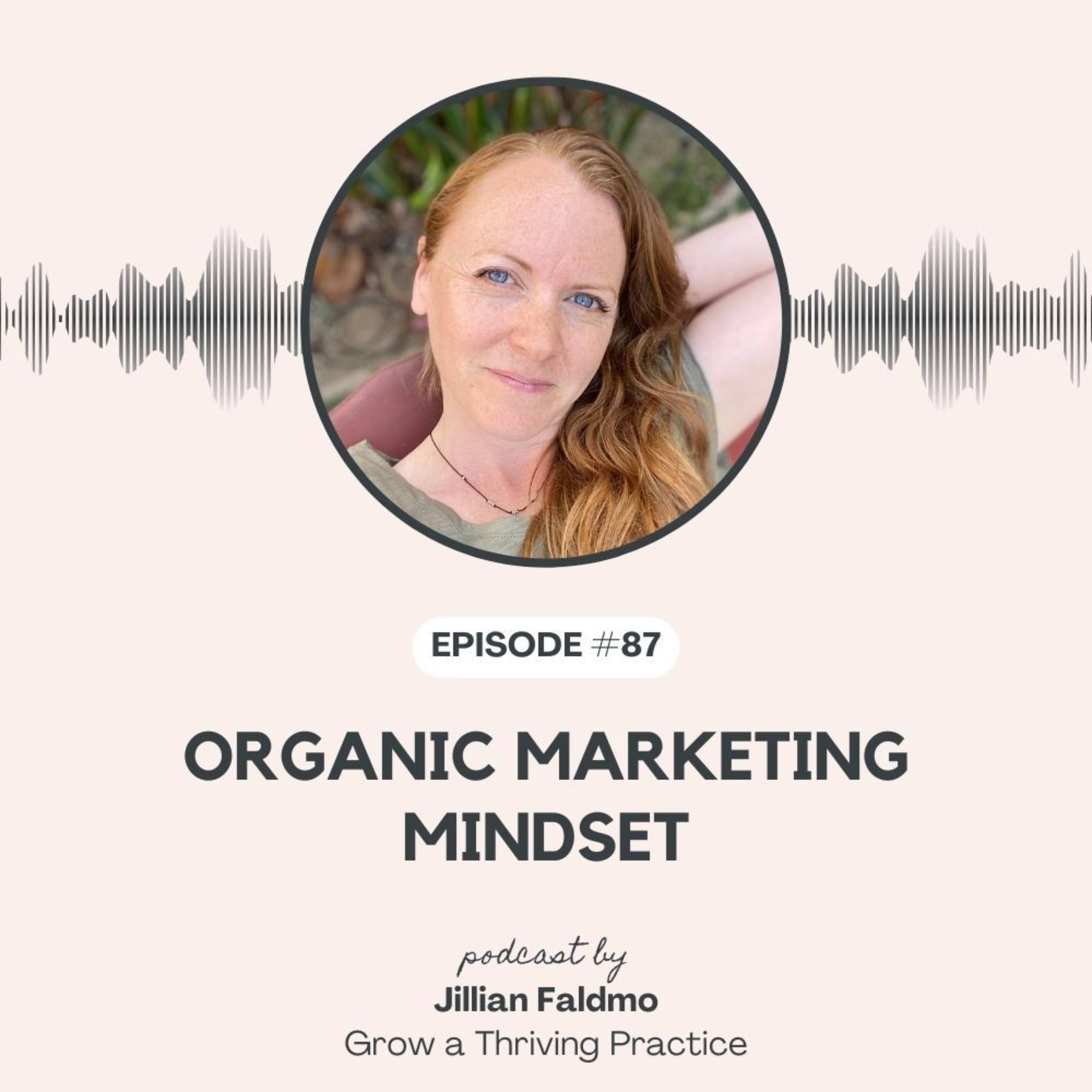 87. Organic Marketing Mindset episode artwork