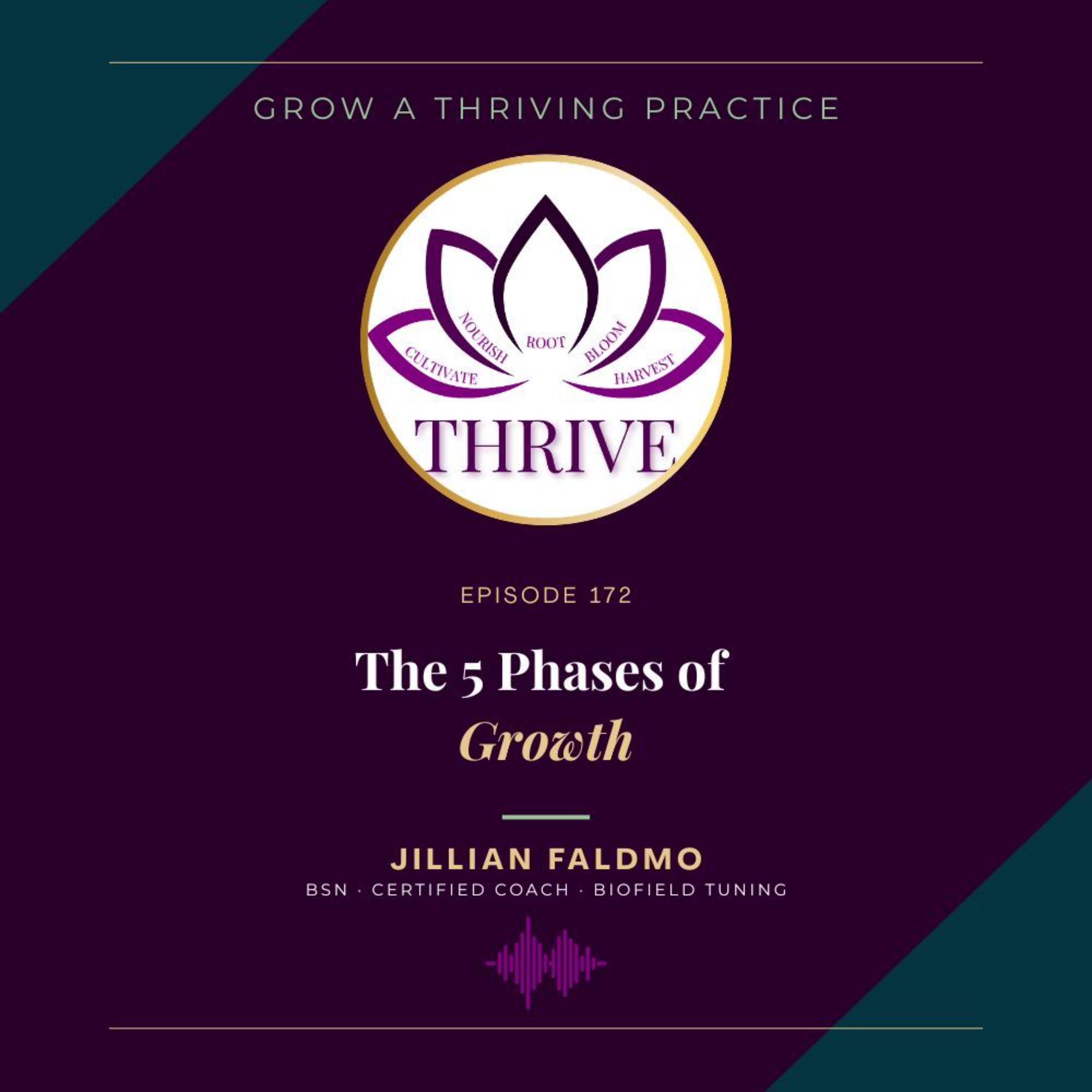 172. The 5 Phases of Growth episode artwork