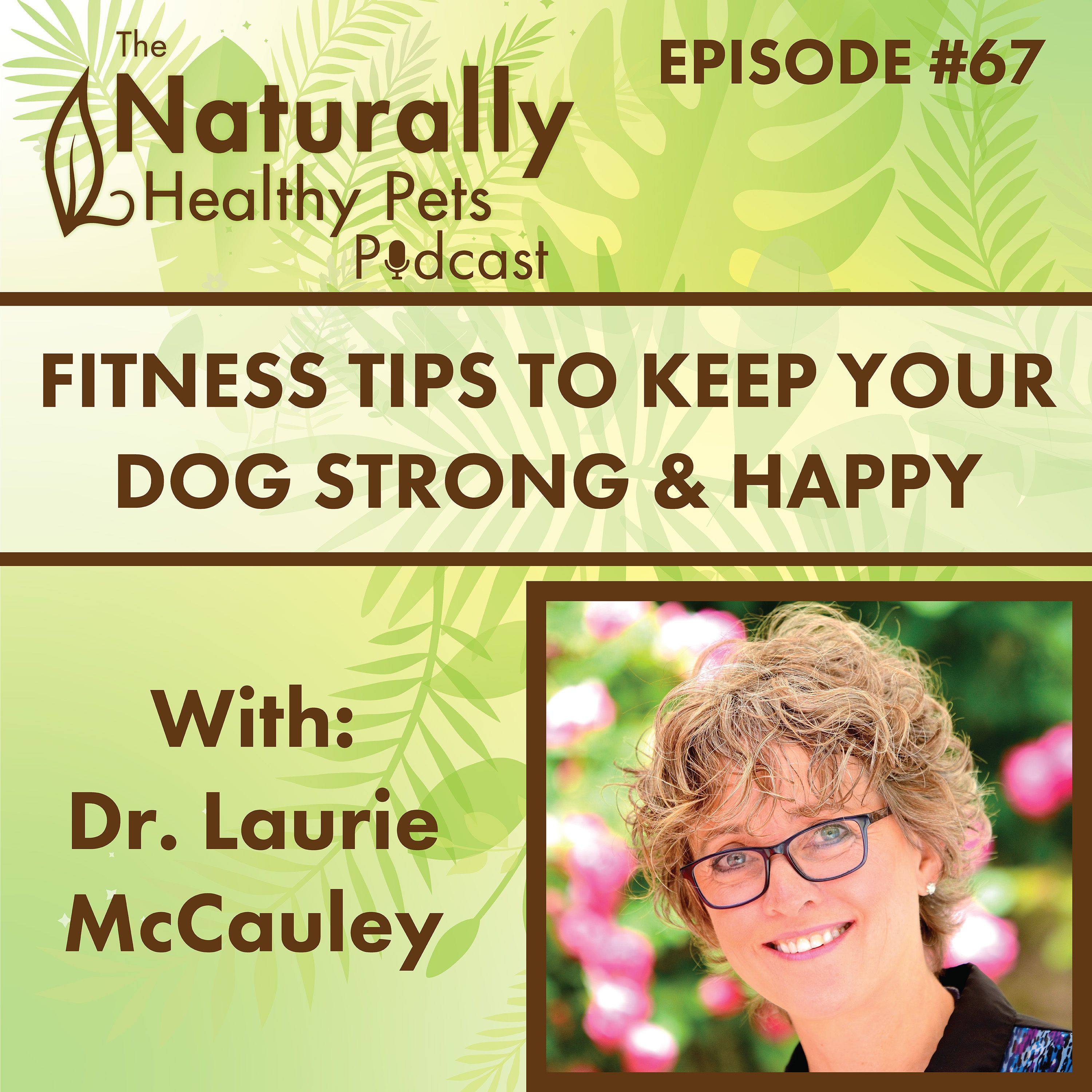 EP 67: Lifelong Health: Fitness Tips to Keep Your Dog Strong and Happy with Dr. Laurie McCauley