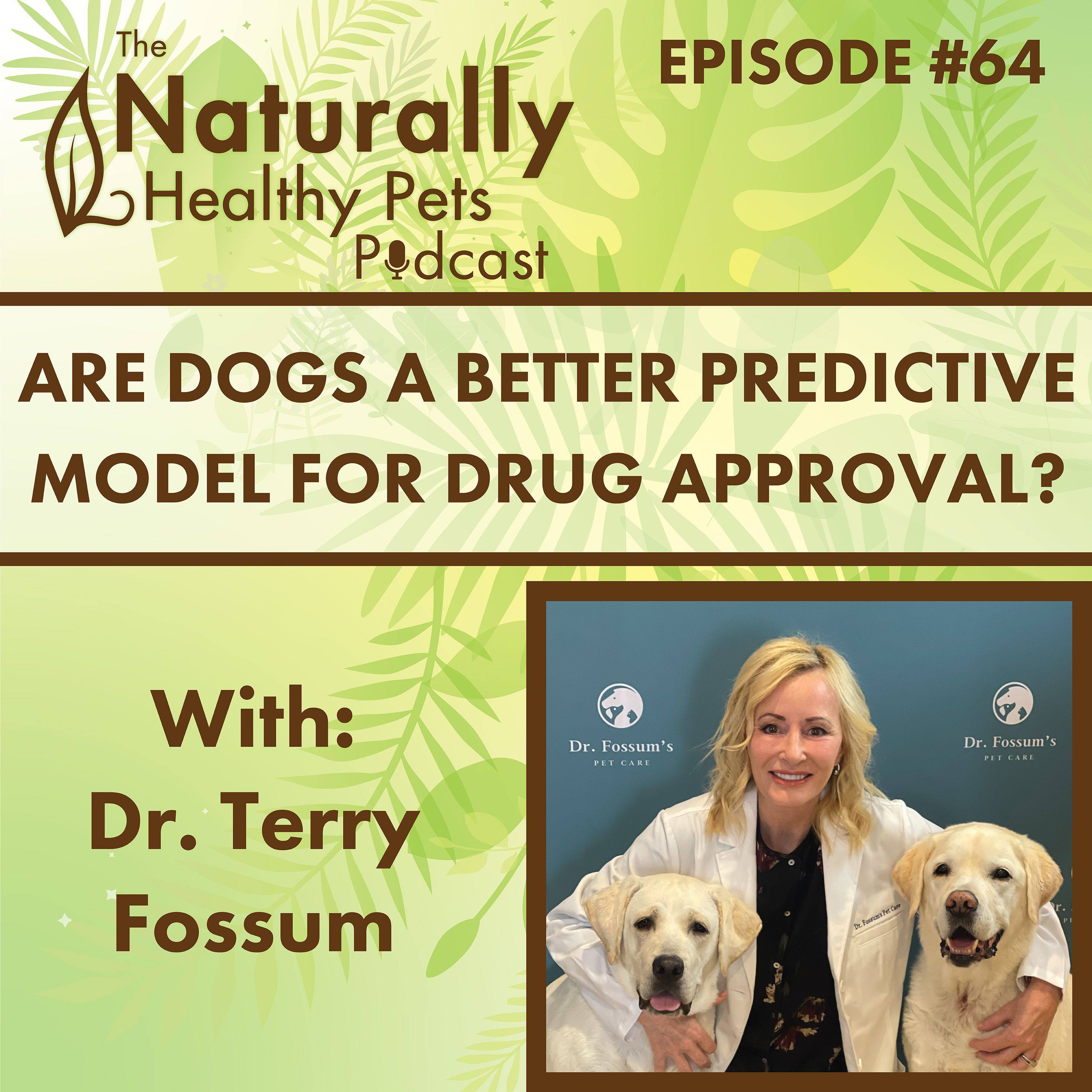 EP 64: Are Dogs a Better Predictive Model for Drug Approval? with Dr. Terry Fossum