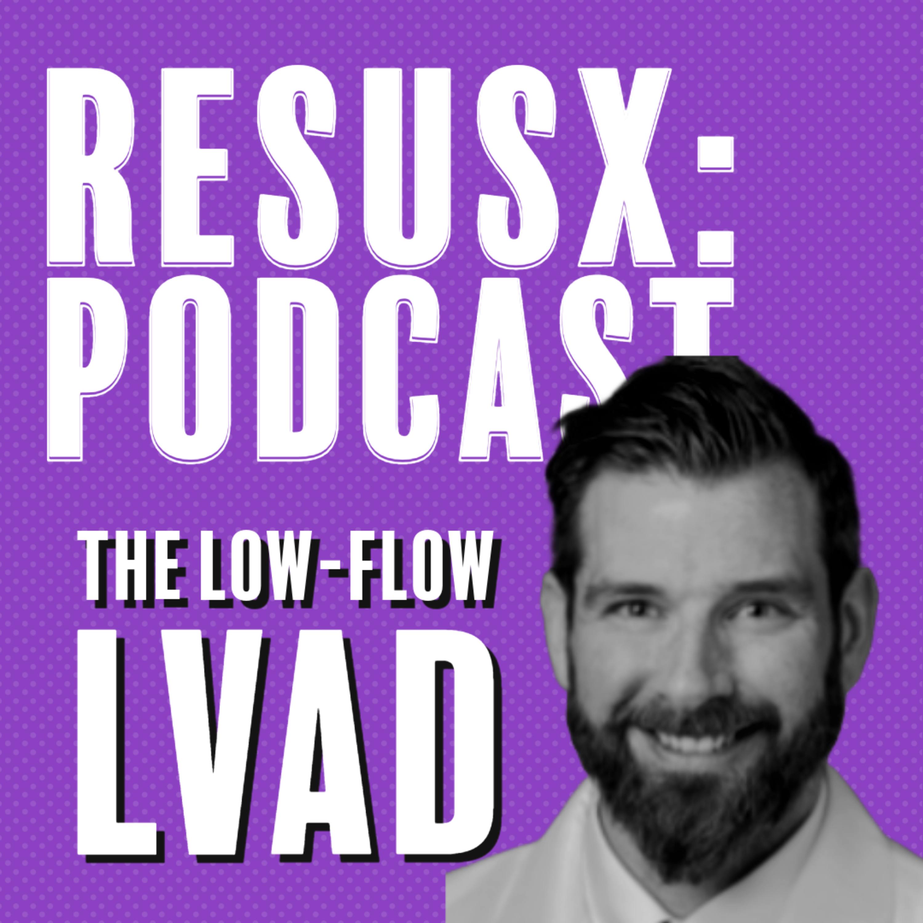 The Low-Flow LVAD