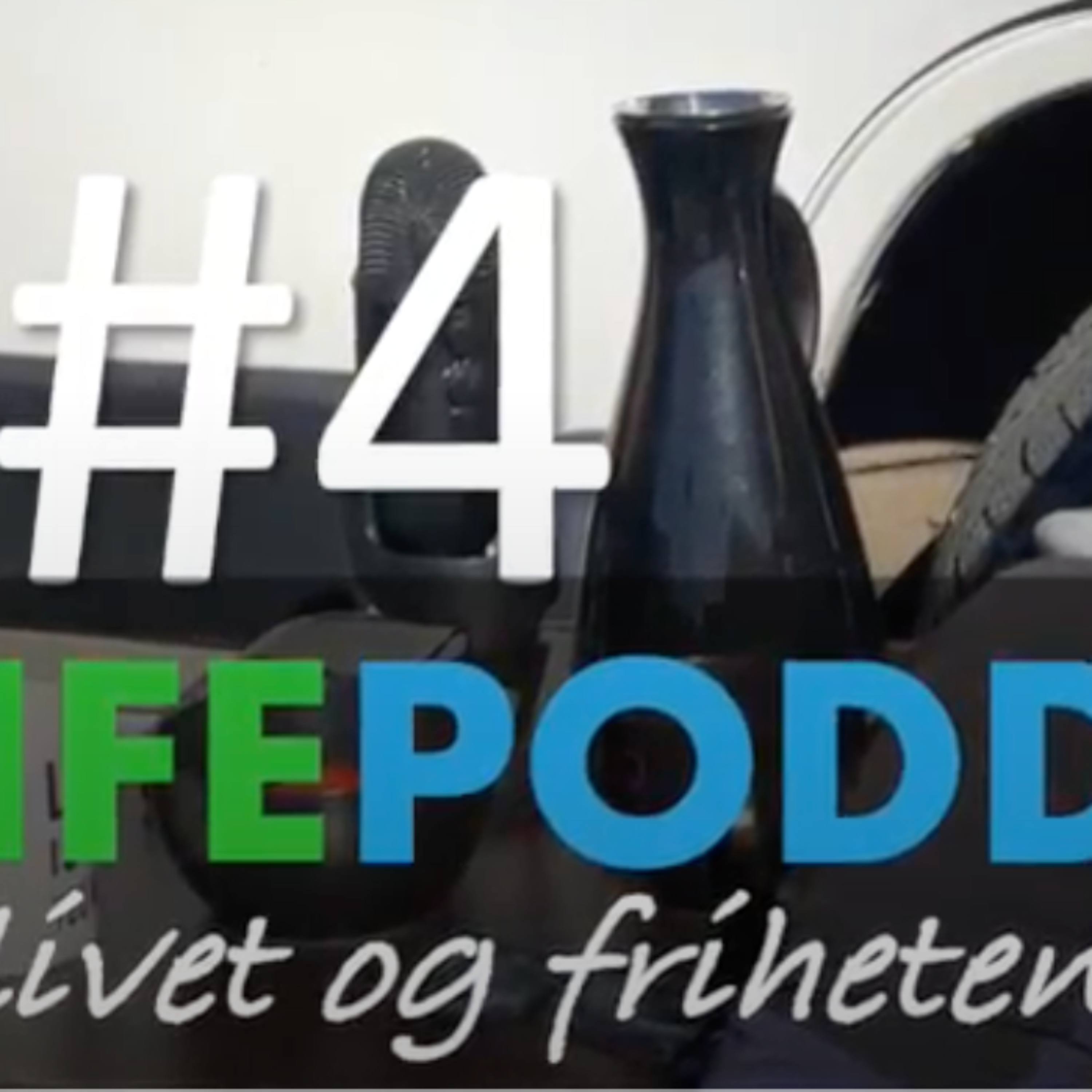 Episode #4 - Om boka VIE VEIER TIL SOMMERNORGE