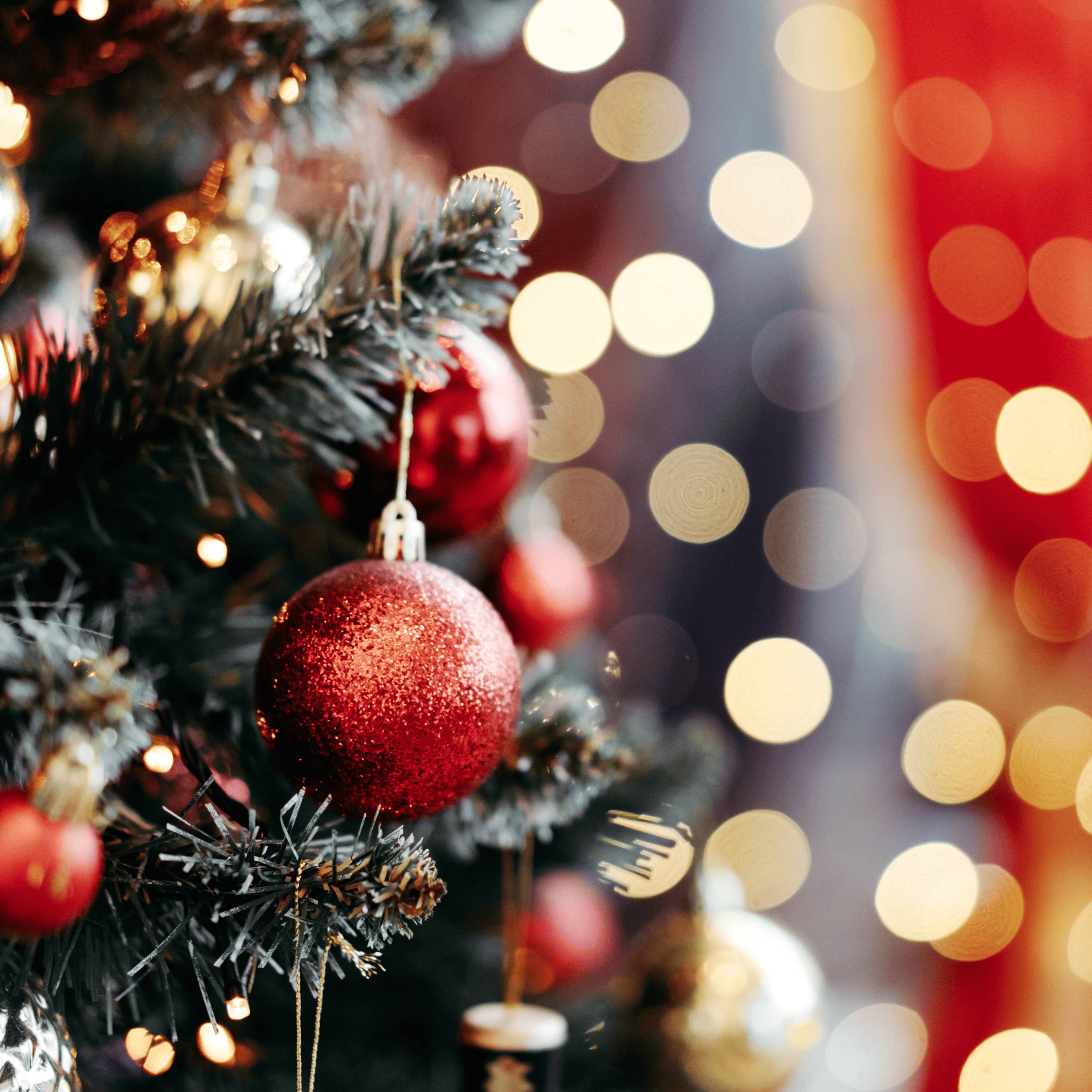 141. Four December Truths Every Widowed Person Needs to Hear episode artwork
