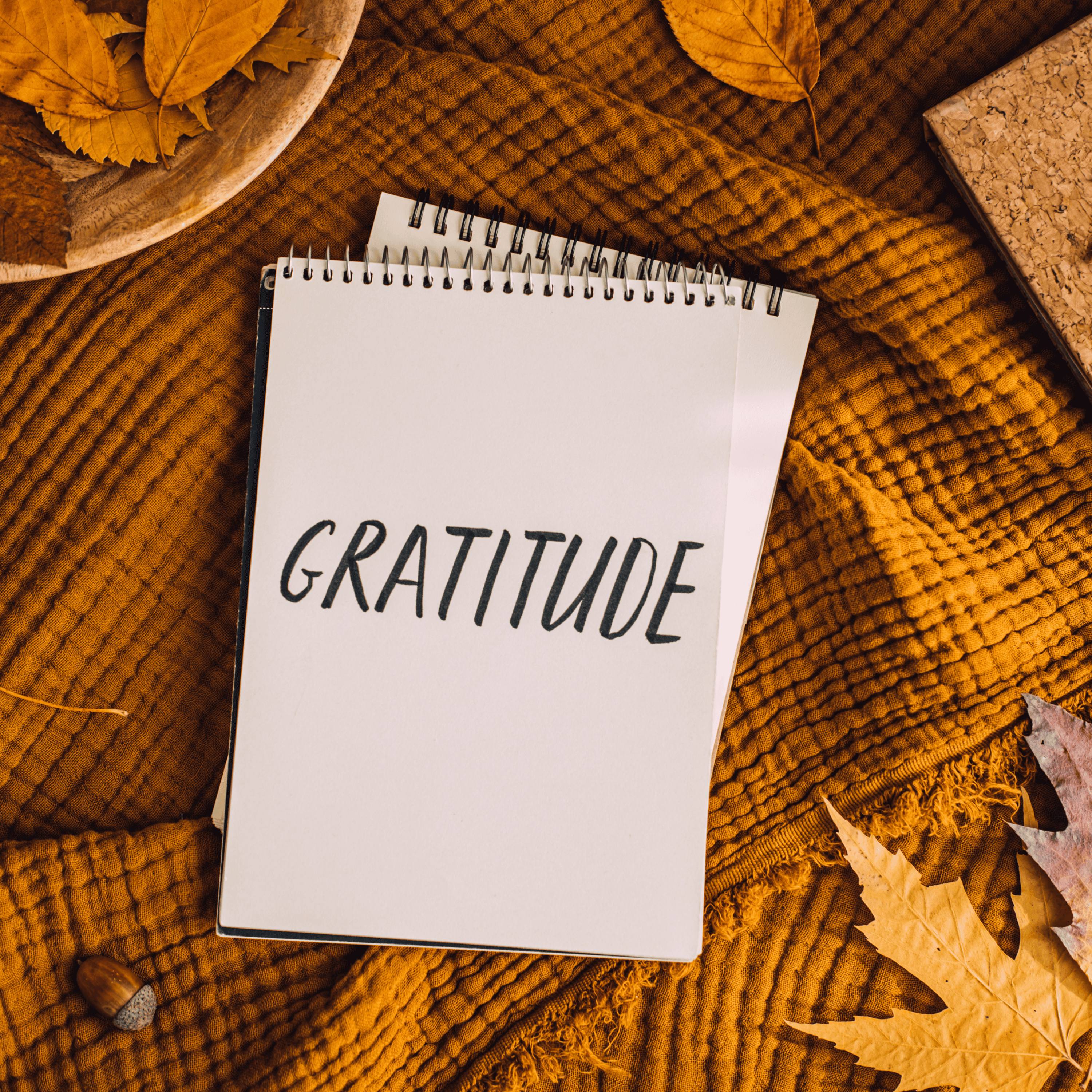 138. Don't Use Gratitude Against Yourself episode artwork