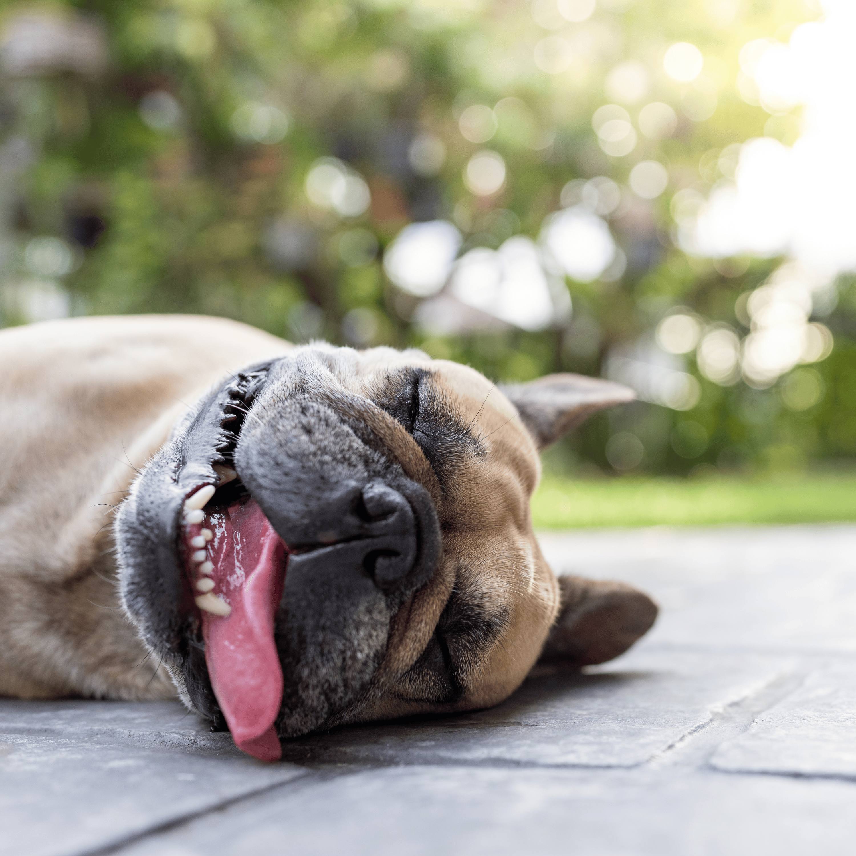 117. From exhausted to recharged: restoring your energy after loss episode artwork
