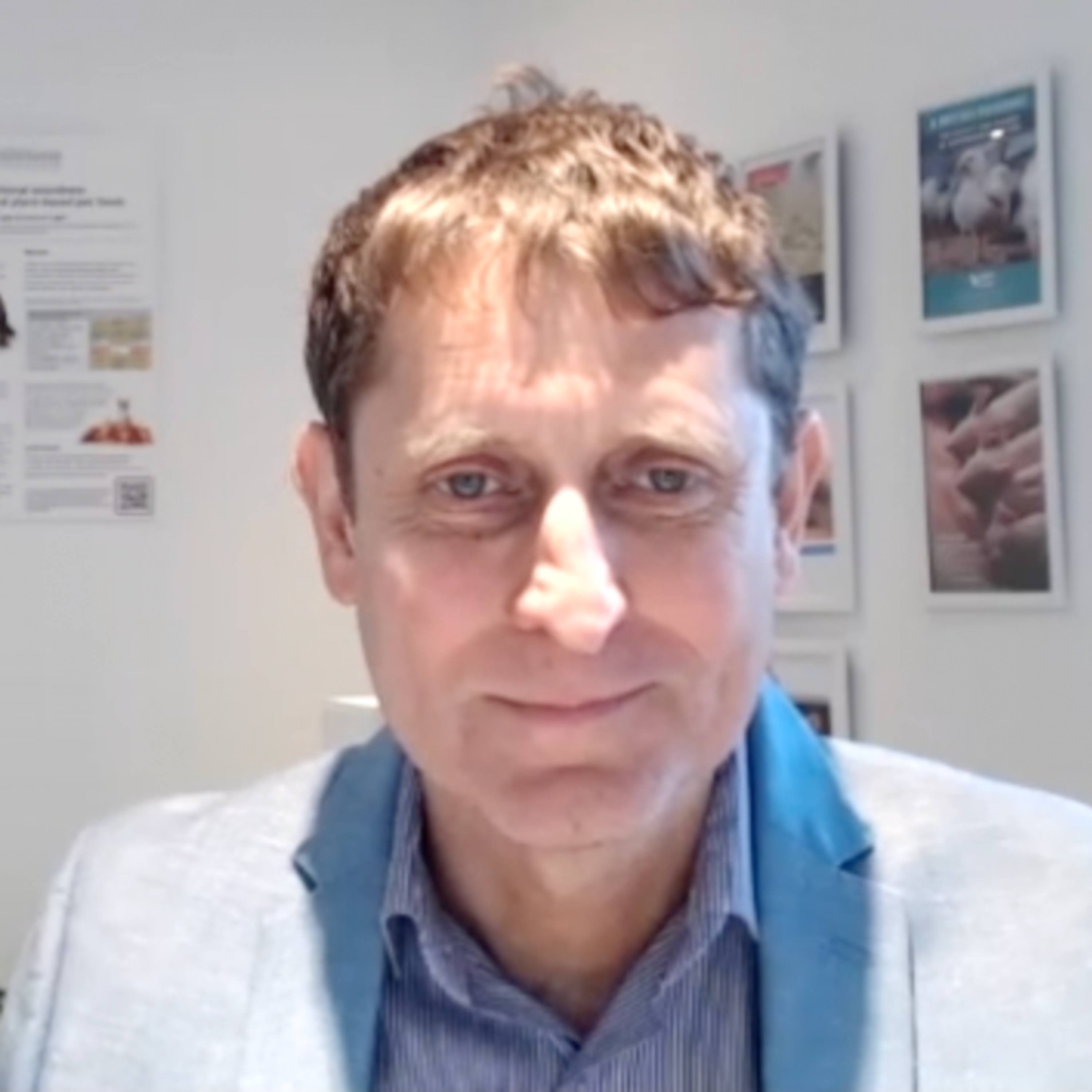 Professor Andrew Knight