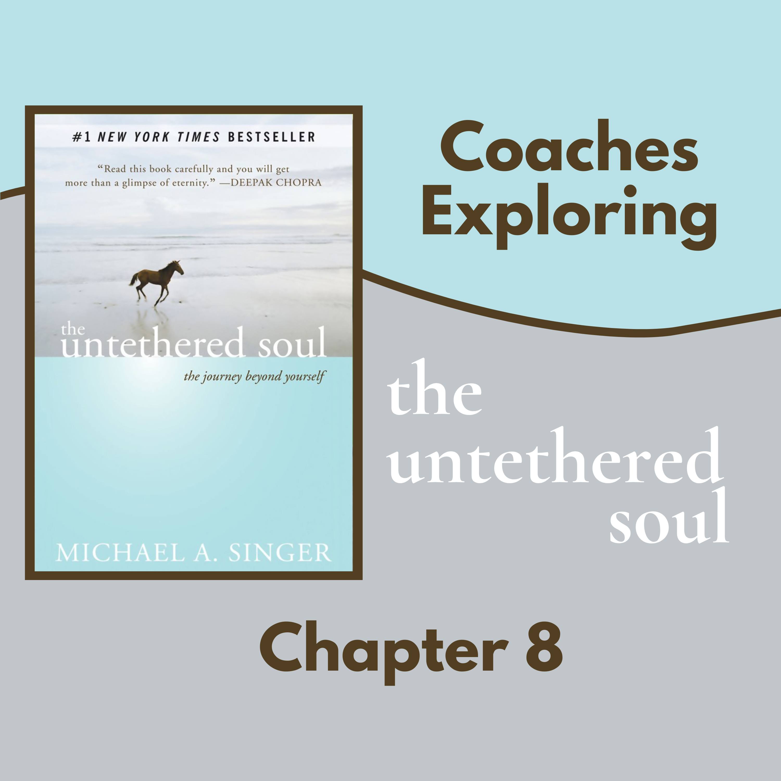 The Untethered Soul - Chapter 8 episode artwork
