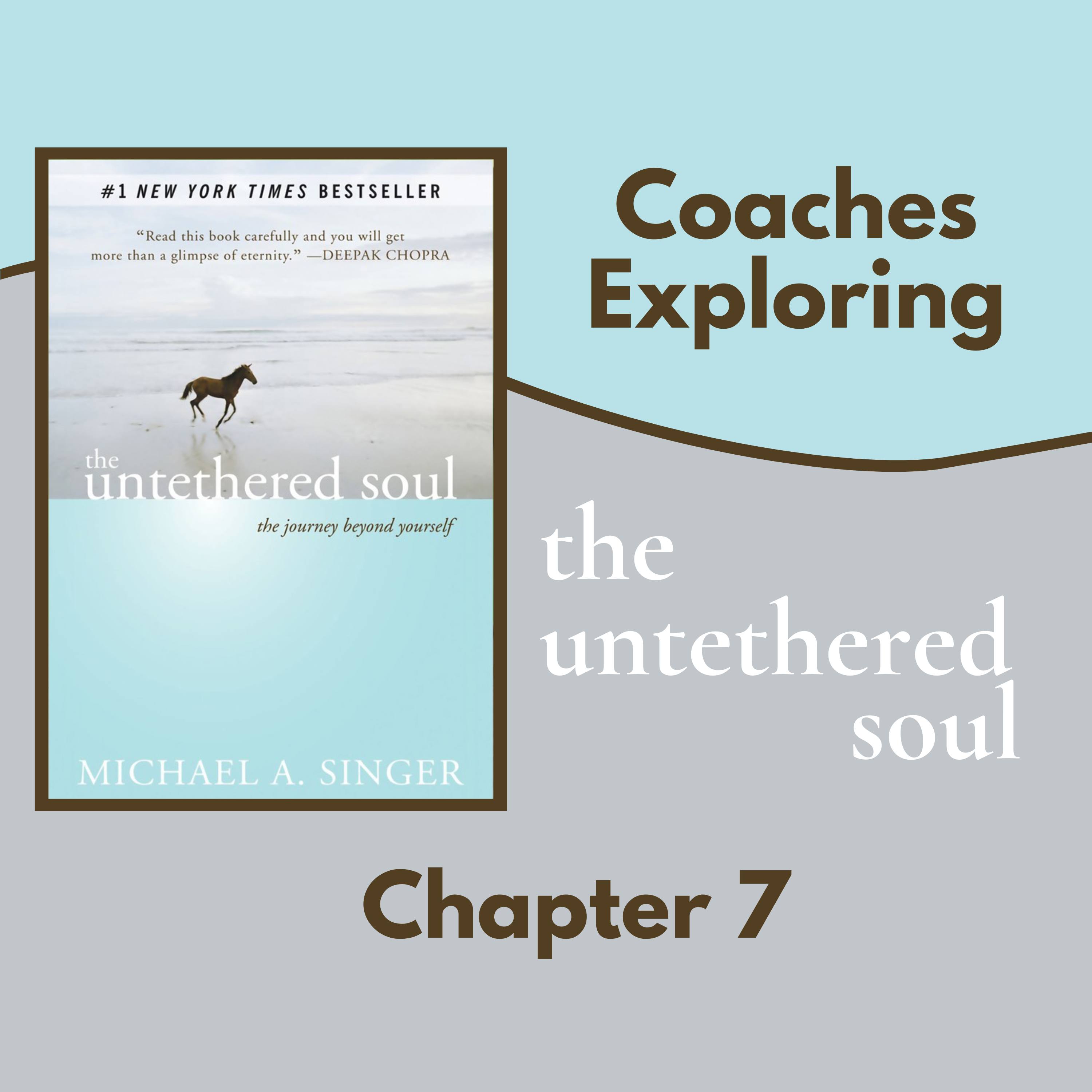 The Untethered Soul - Chapter 7 episode artwork