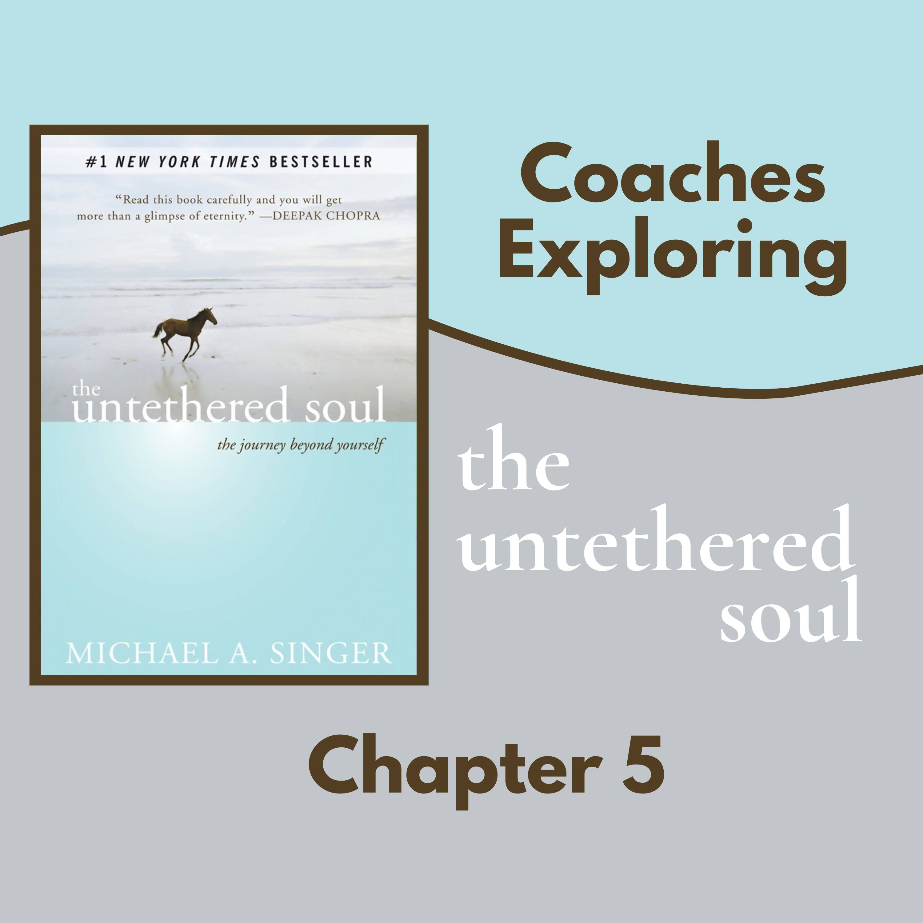 The Untethered Soul - Chapter 5 episode artwork