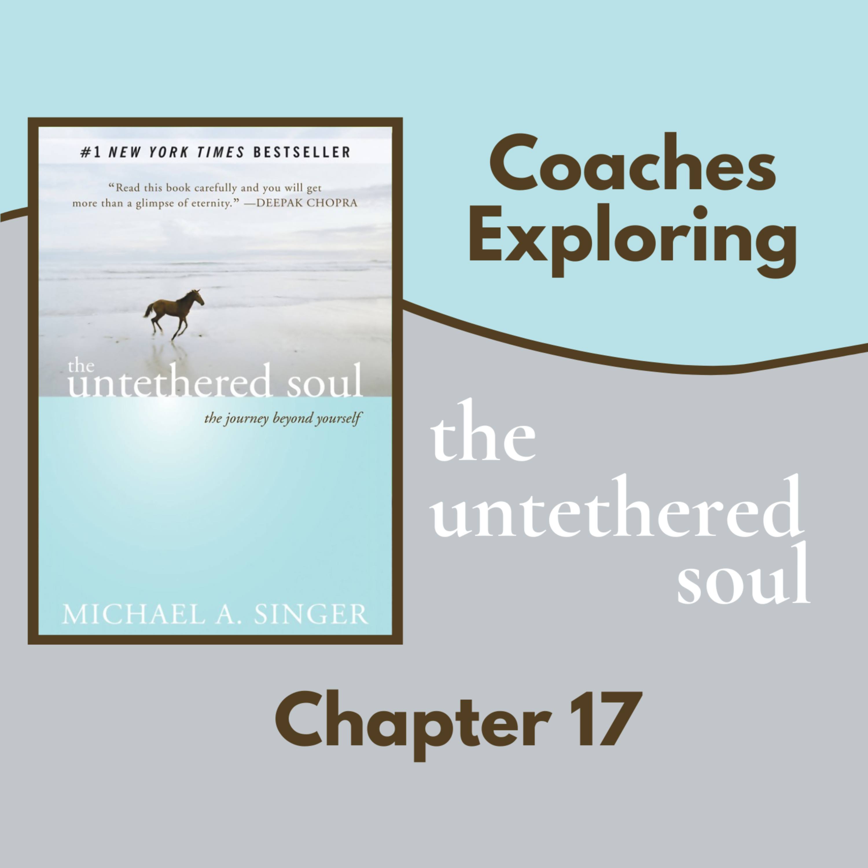 The Untethered Soul - Chapter 17 episode artwork