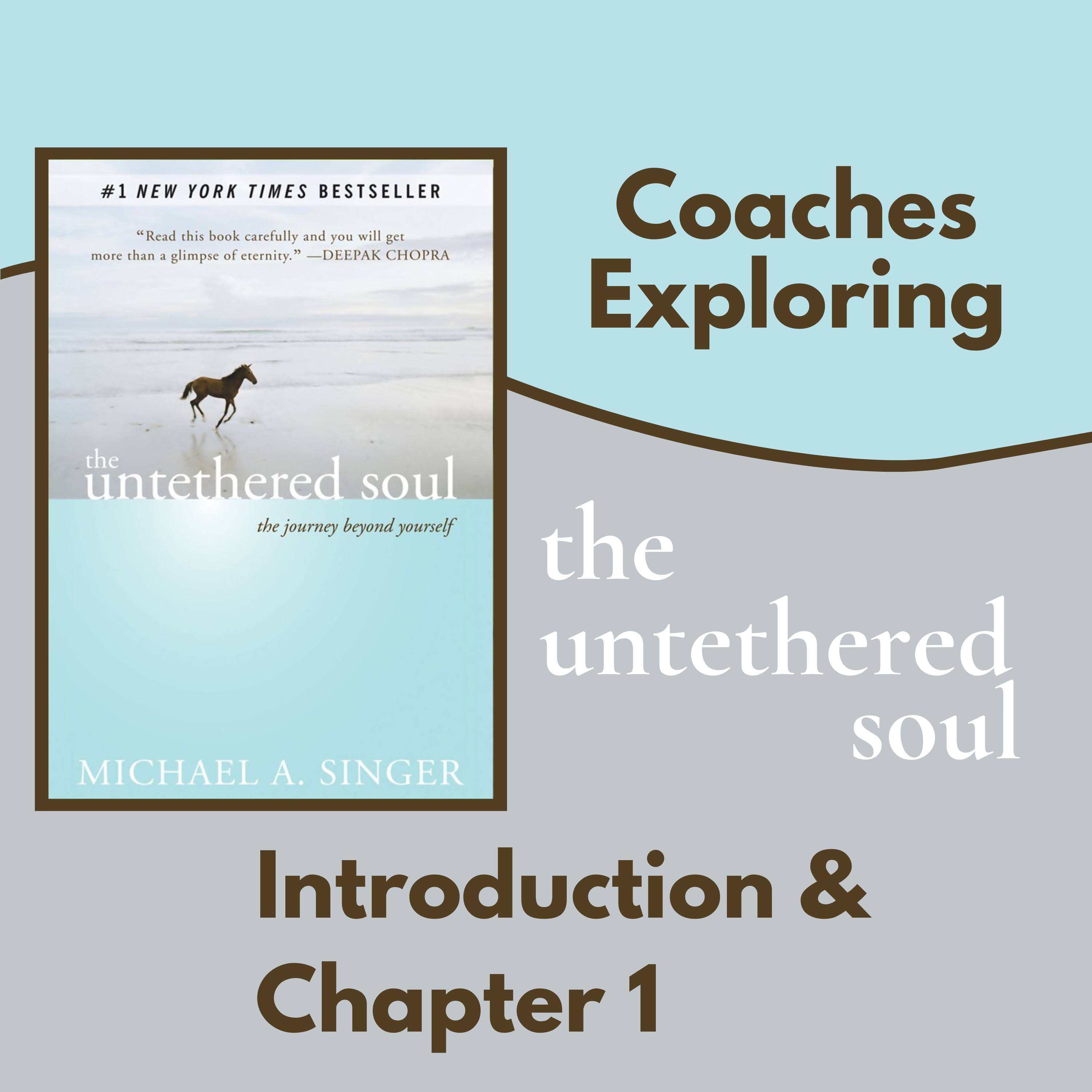 The Untethered Soul - Intro and Chapter 1