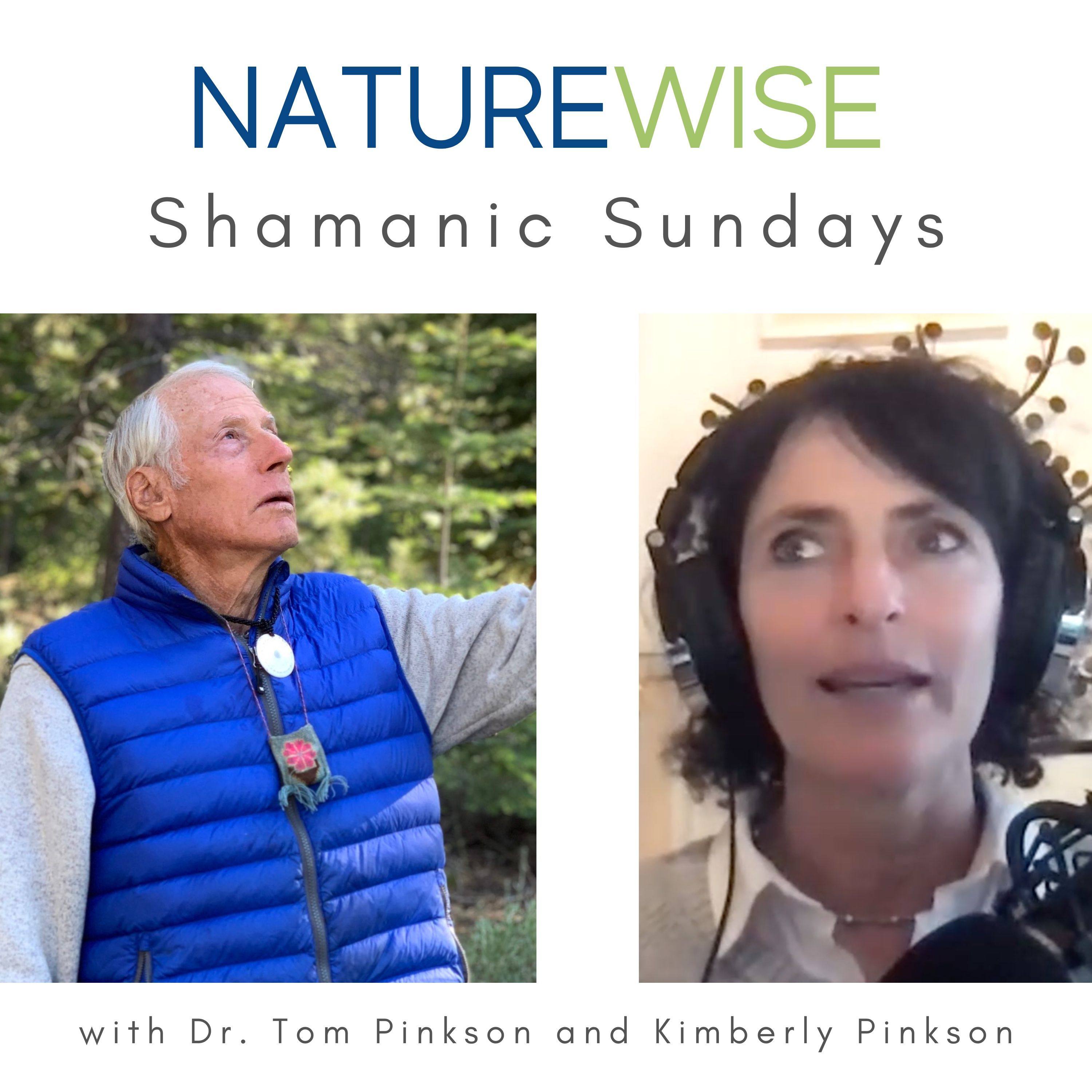 Naturewise: Ancient Wisdom for Your Greatest Joy, Power & Purpose