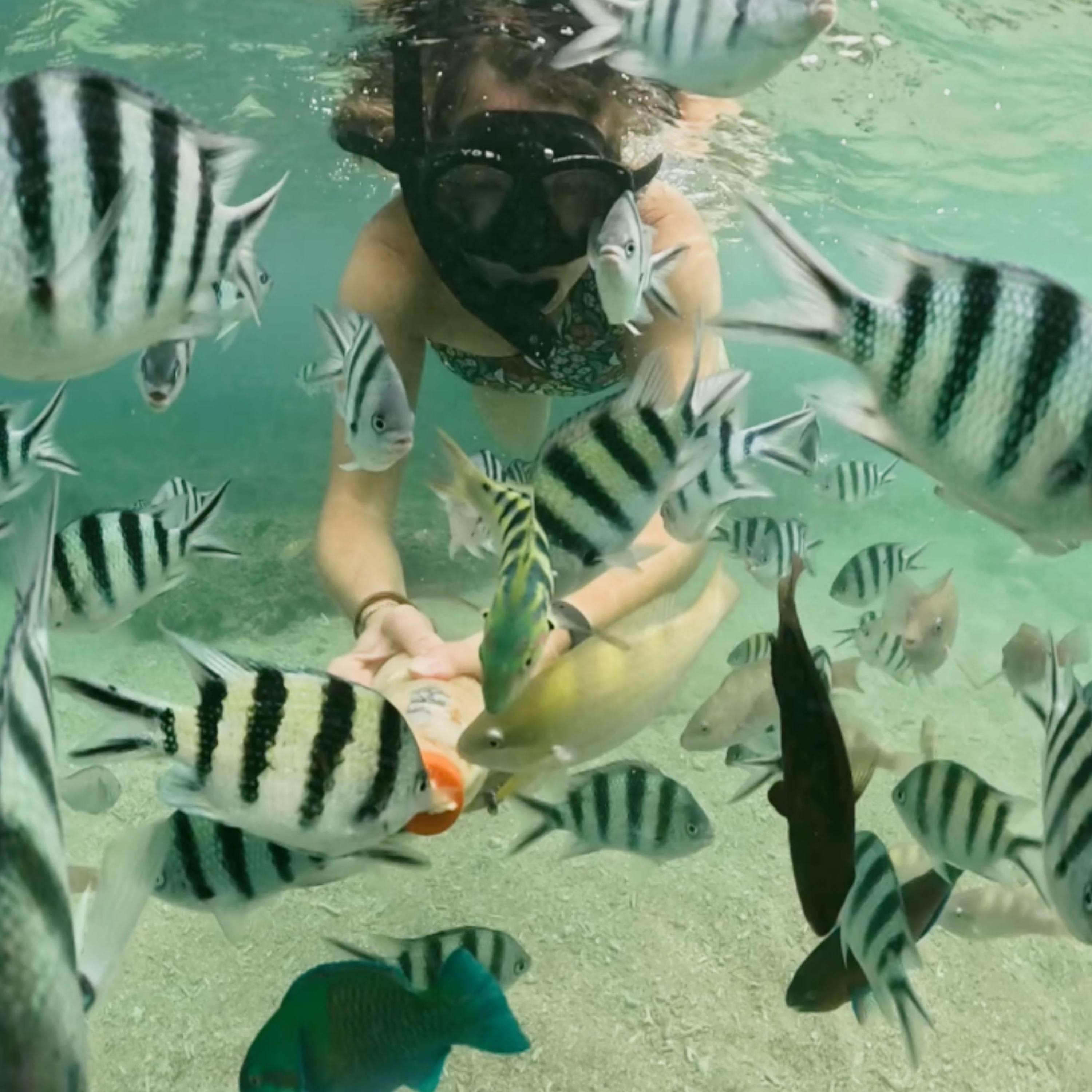 Sunshine Travelers Podcast