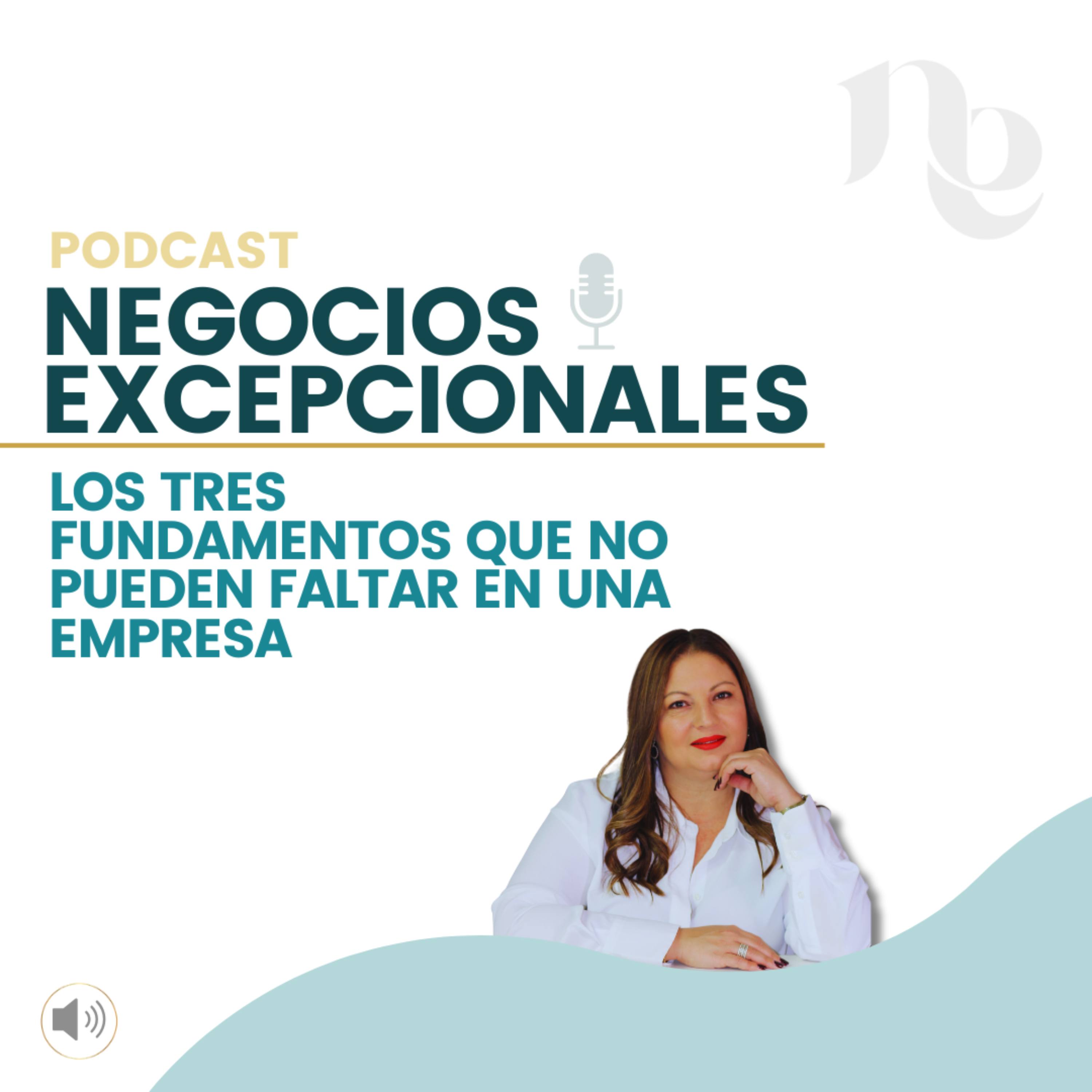 Episodio 24: Valores y Fundamentos del Negocio