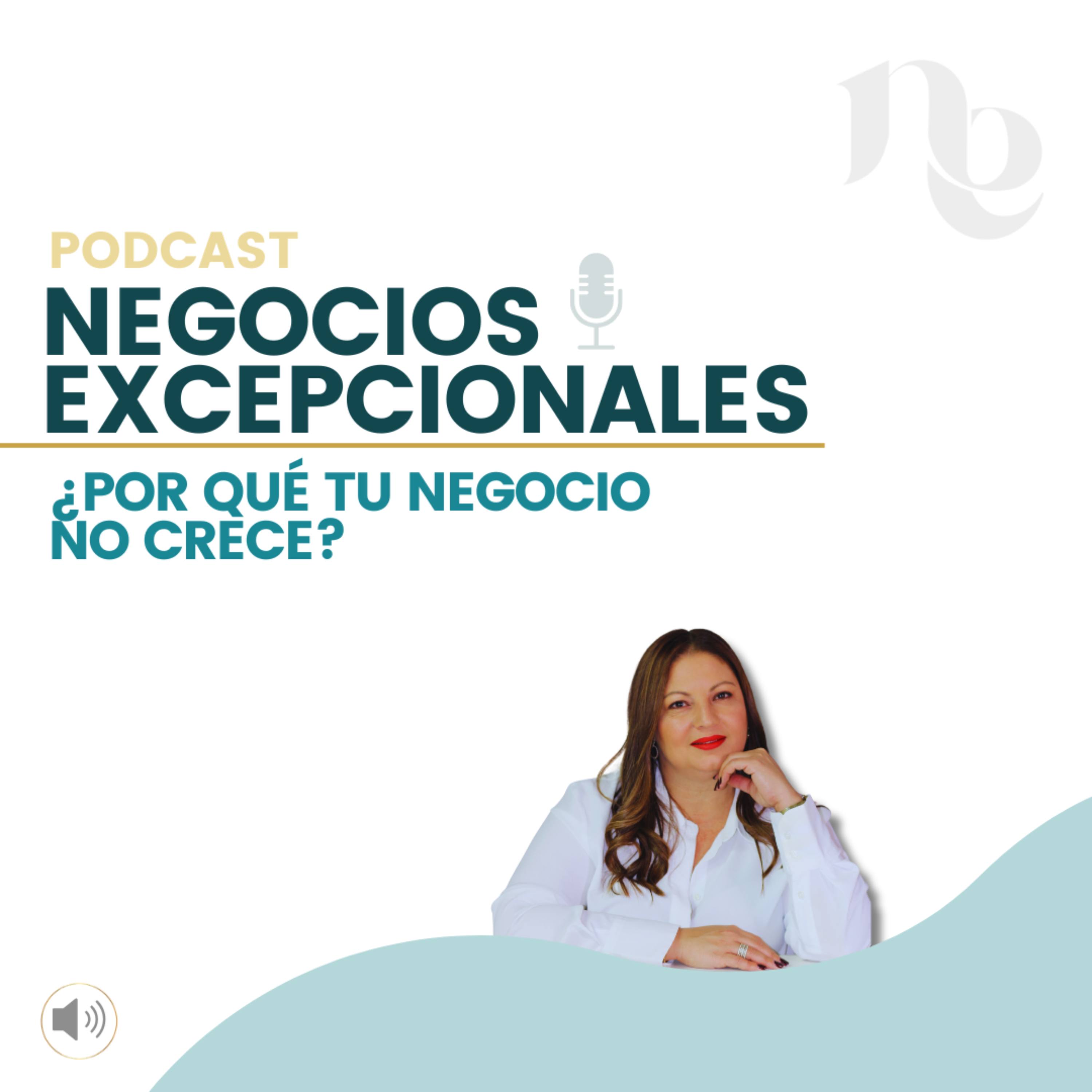 Episodio 26: ¿Por qué tu negocio no crece?