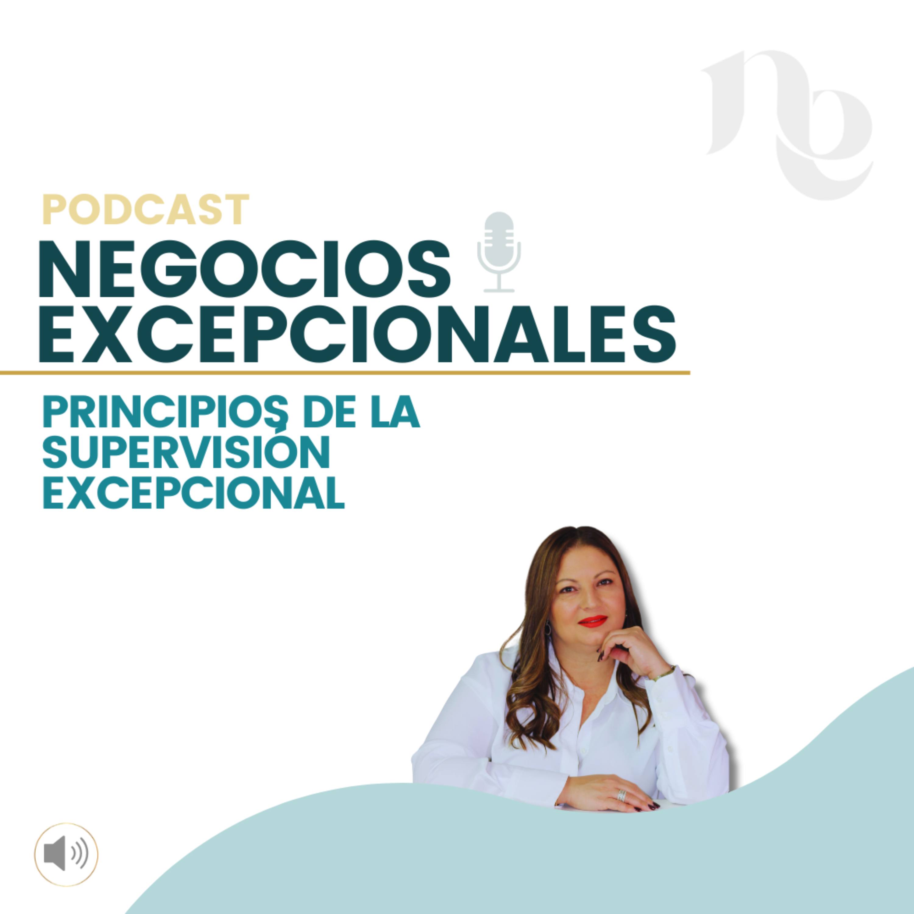 Episodio 18: Principios de la Supervisión Excepcional