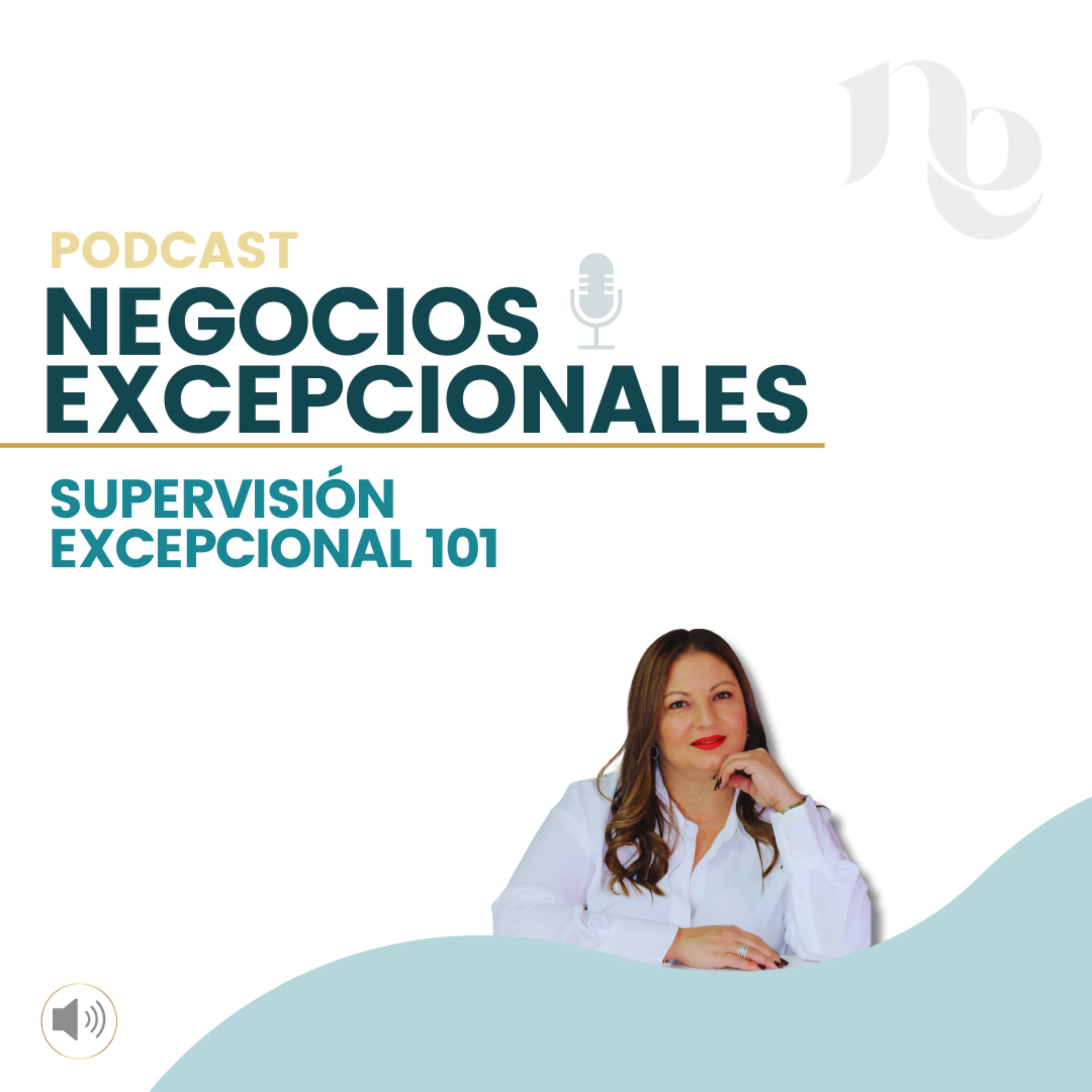 Episodio 17: Supervisión Excepcional 101 episode artwork