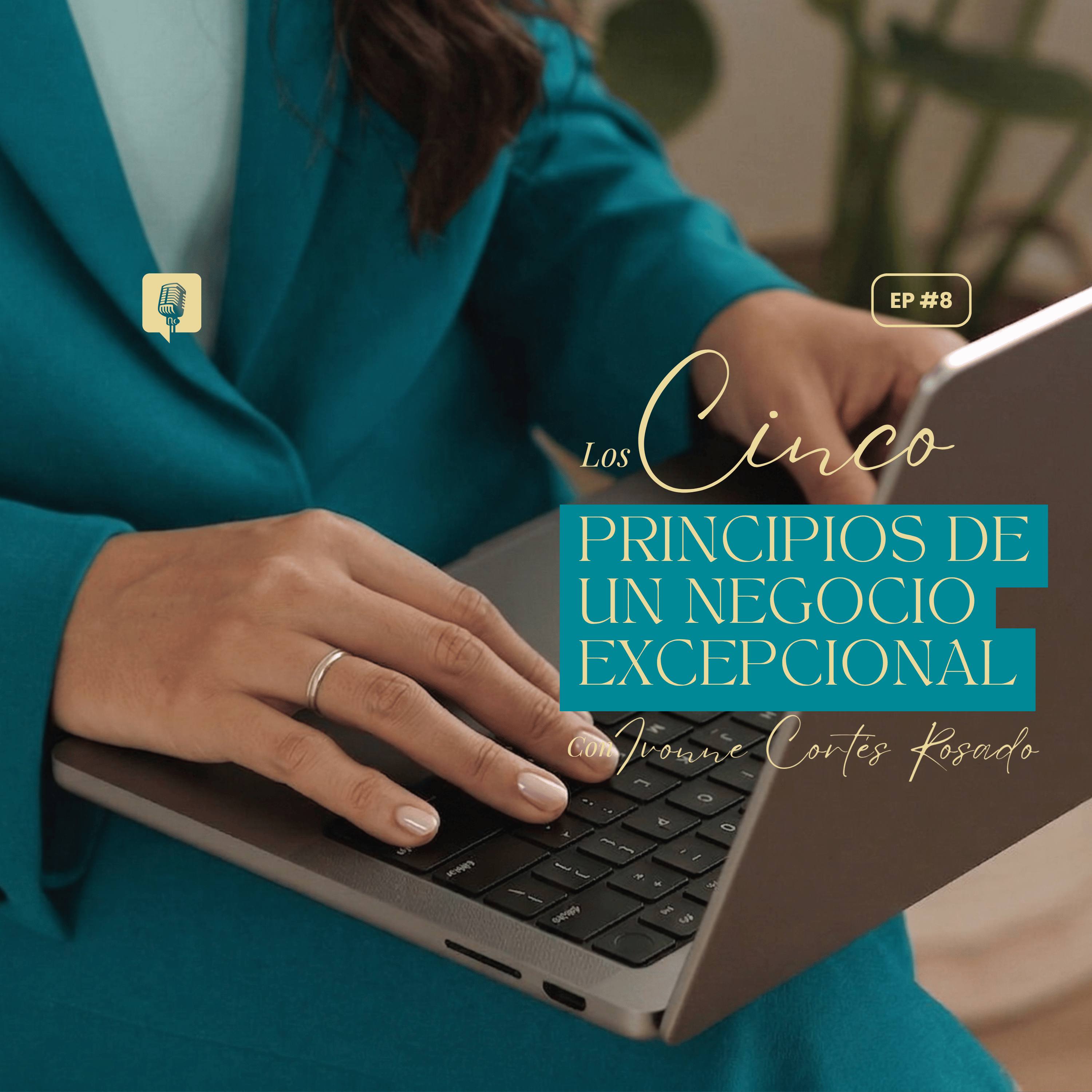 Episodio 8: Los 5 Principios de un Negocio Excepcional episode artwork