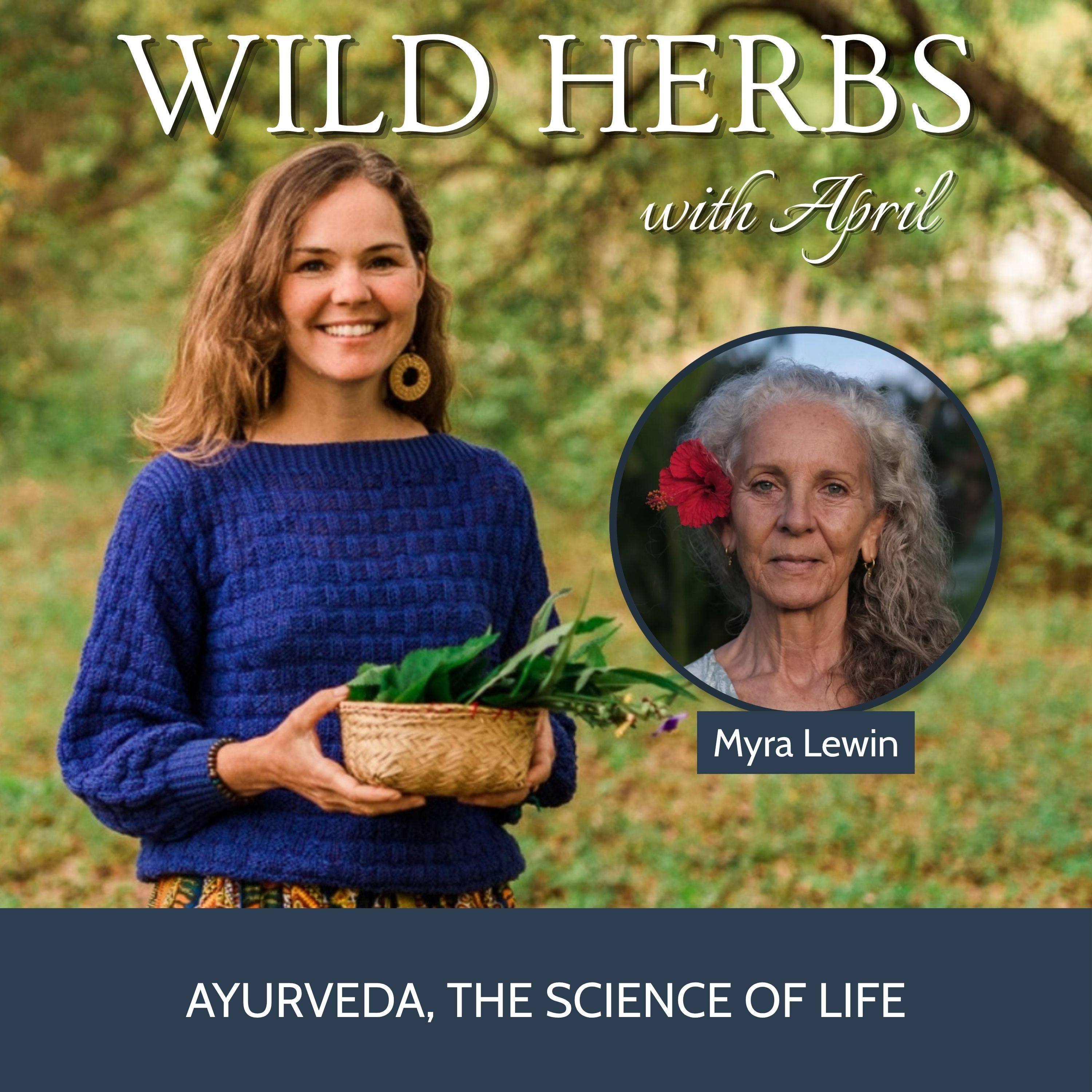 Wild Herbs with April