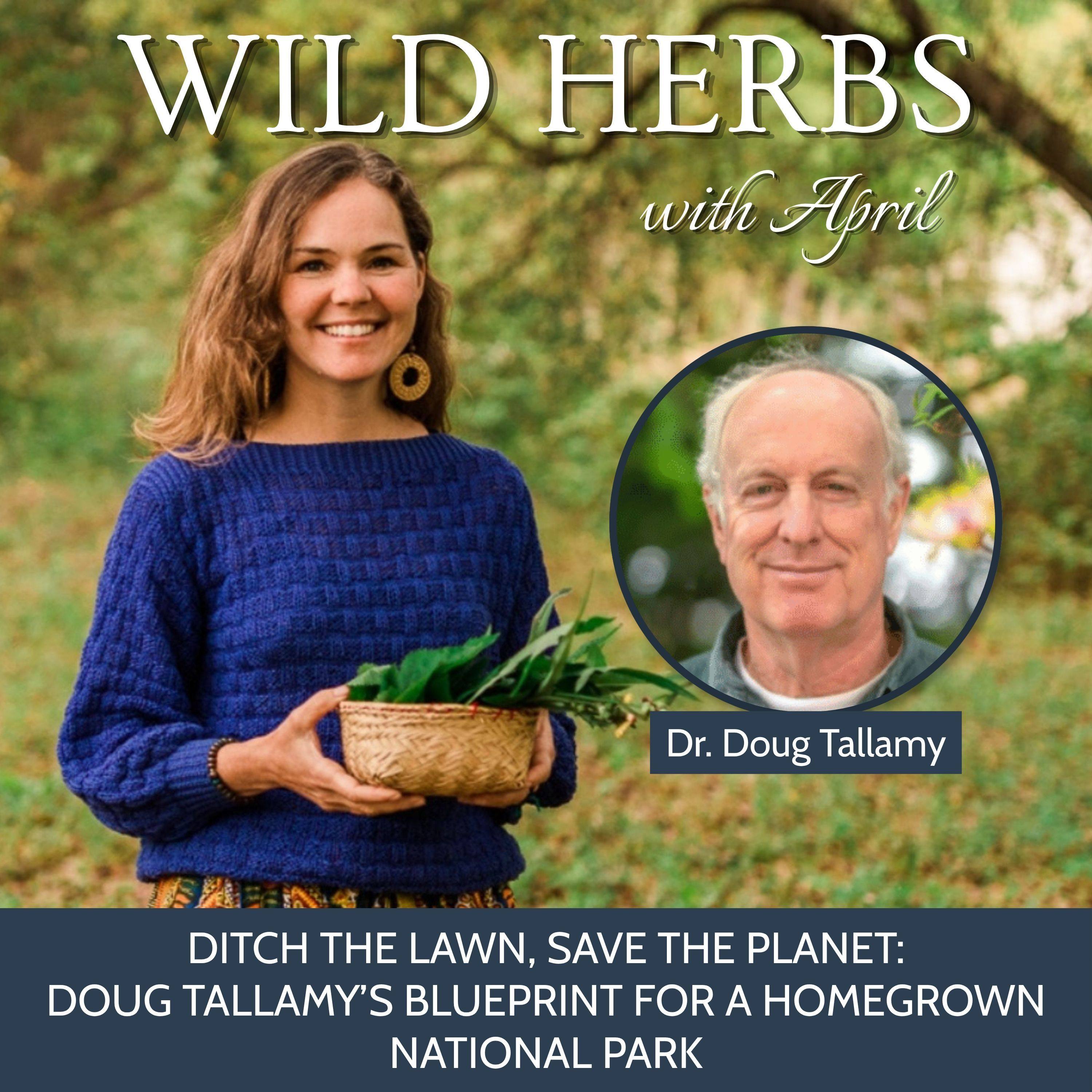 Wild Herbs with April