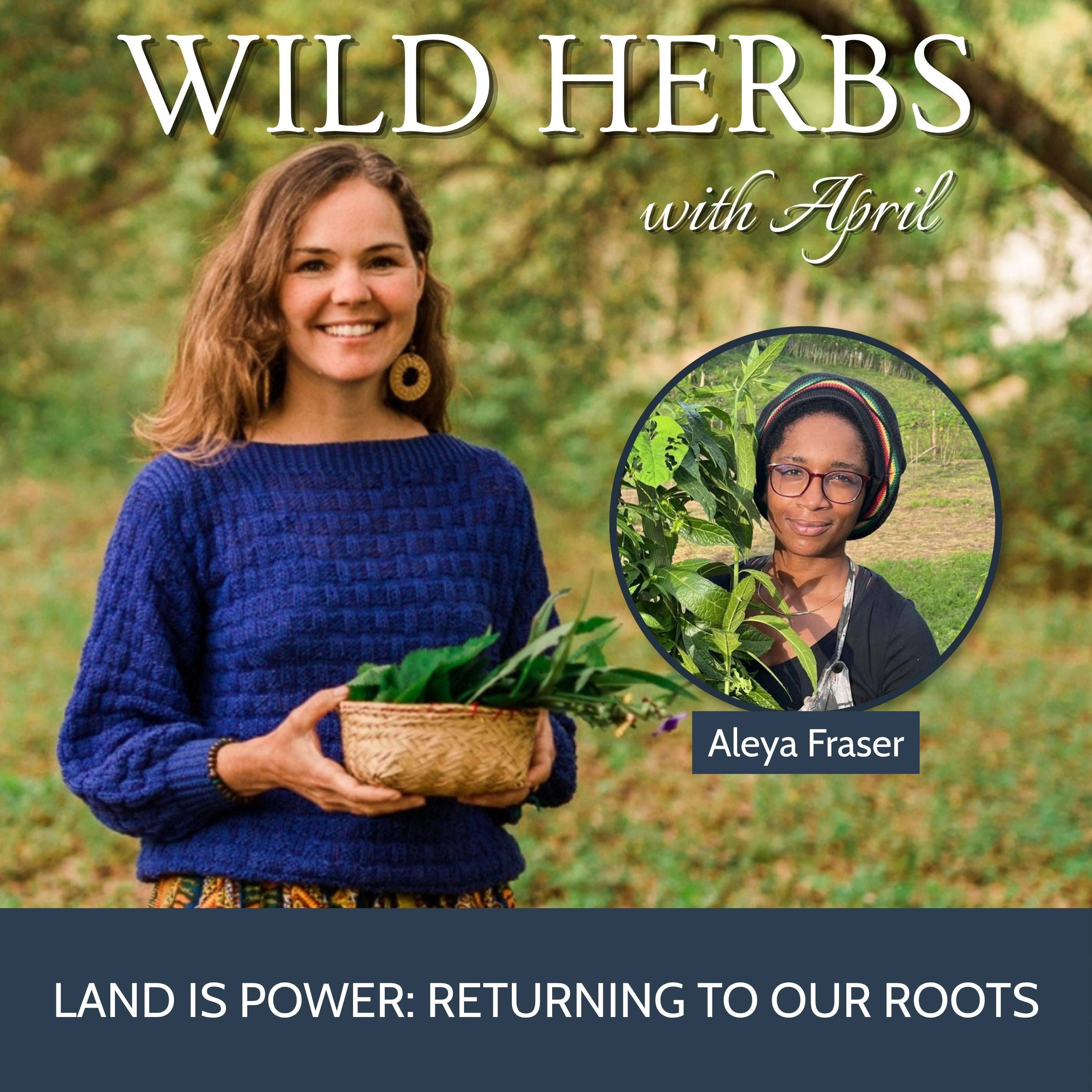 Wild Herbs with April